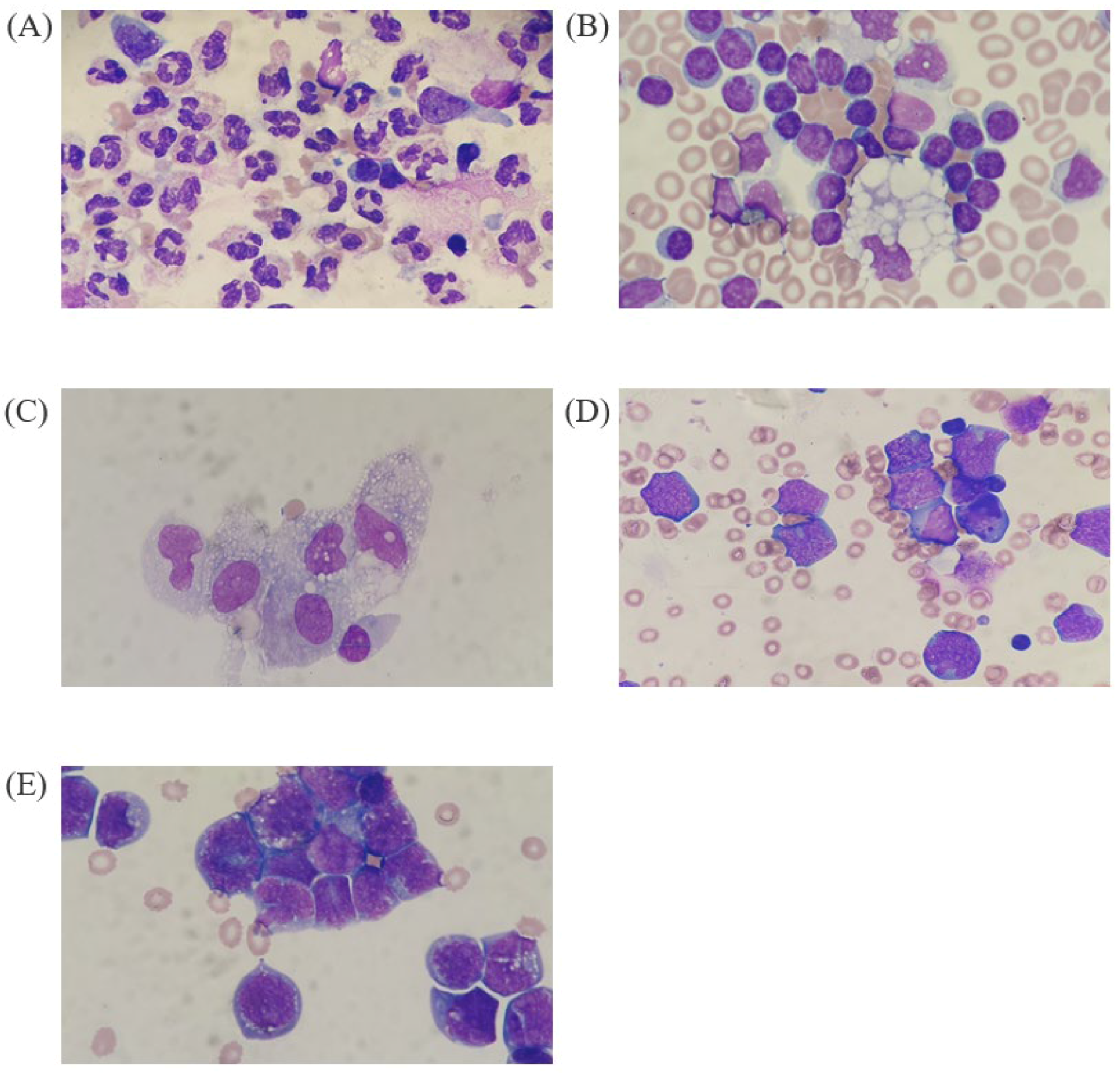 Diagnostics 14 00592 g001