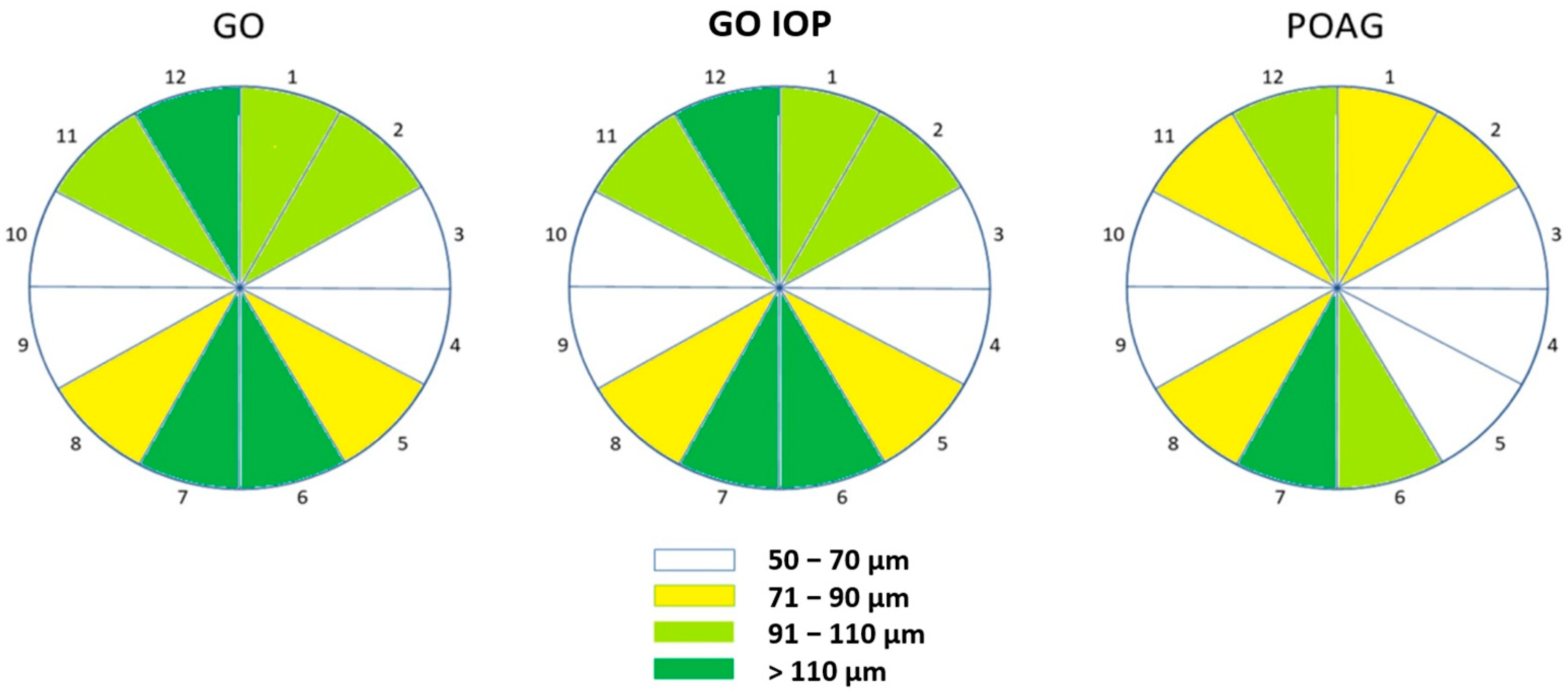 Diagnostics 14 00649 g003