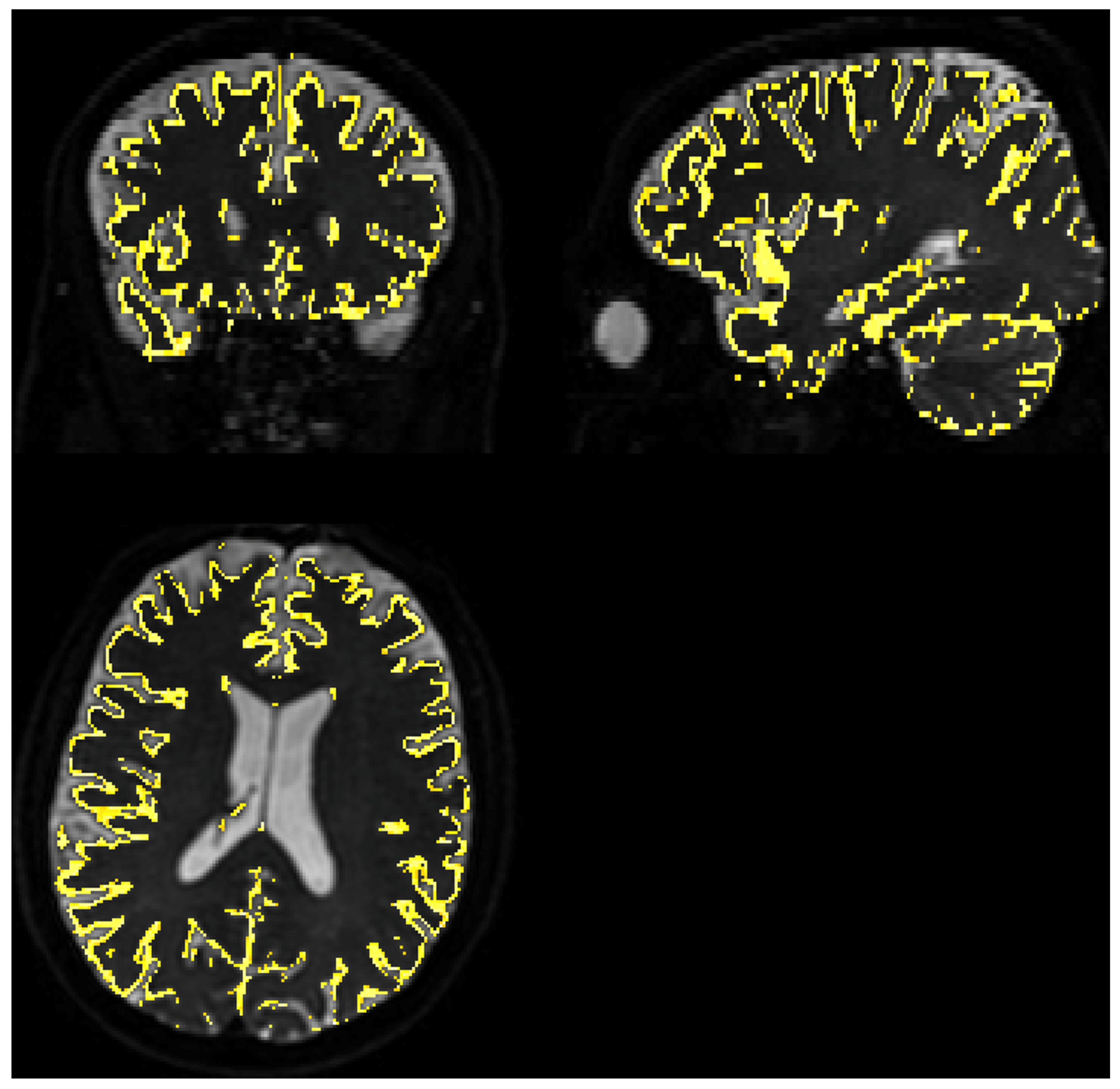 Diagnostics 14 00653 g003