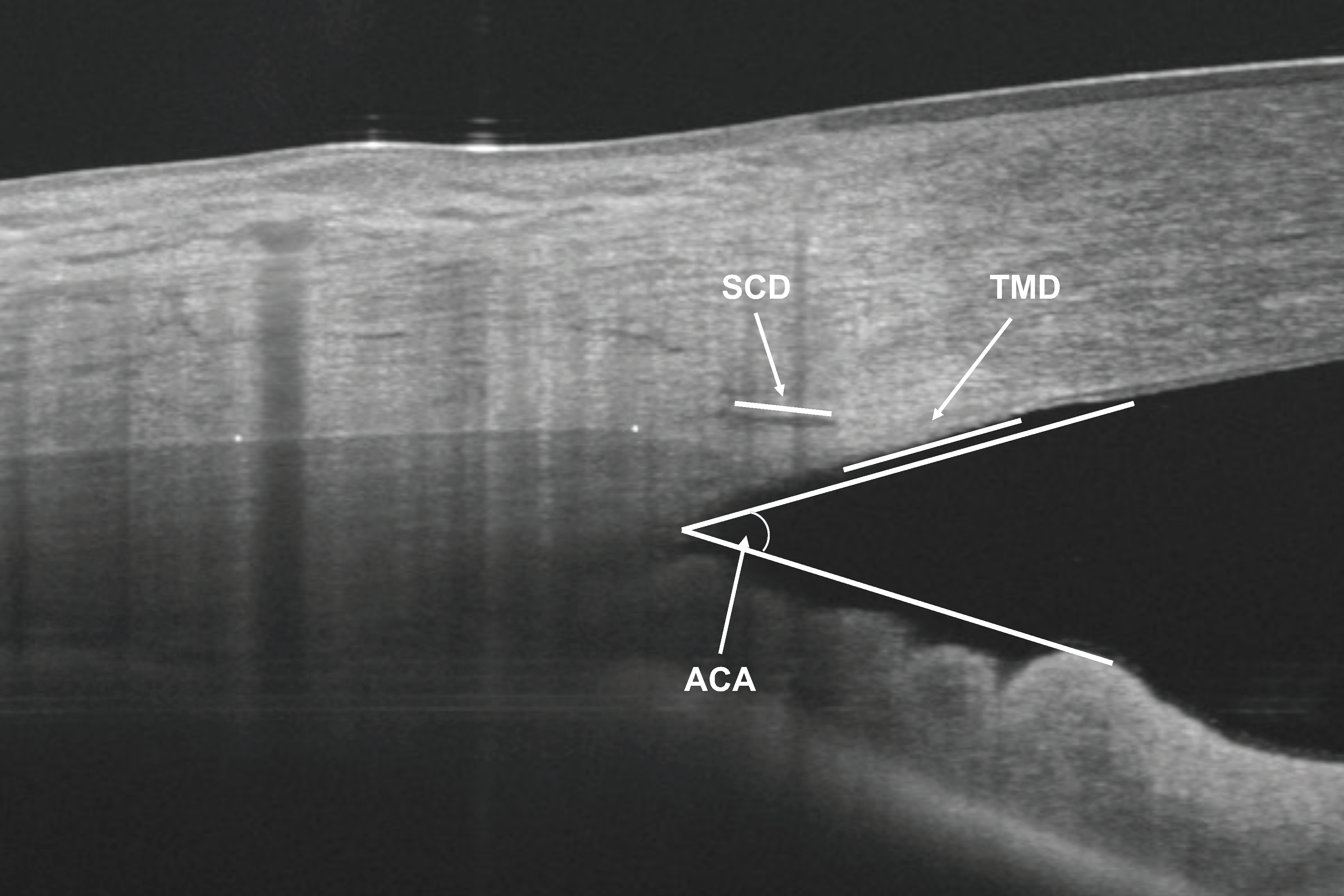 Diagnostics 14 00655 g002