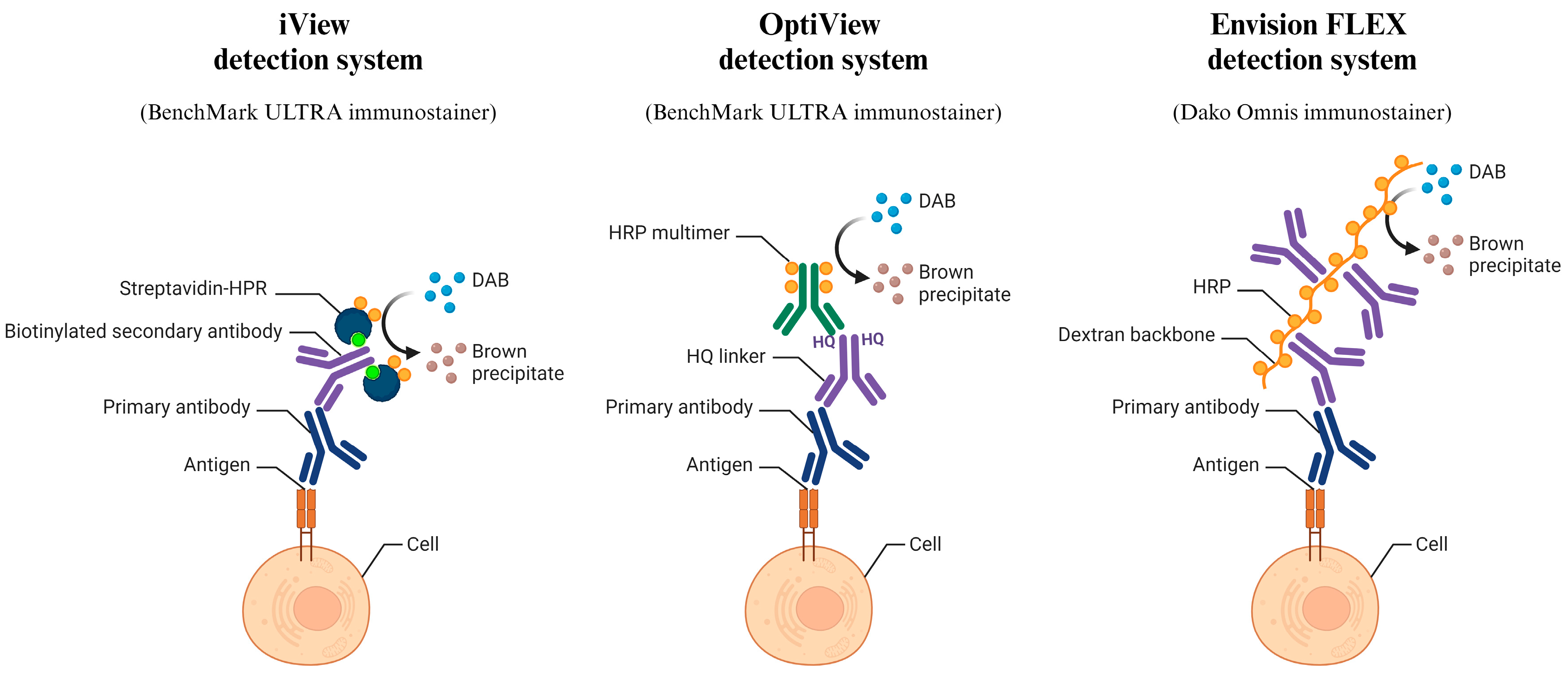 Diagnostics 14 00657 g002