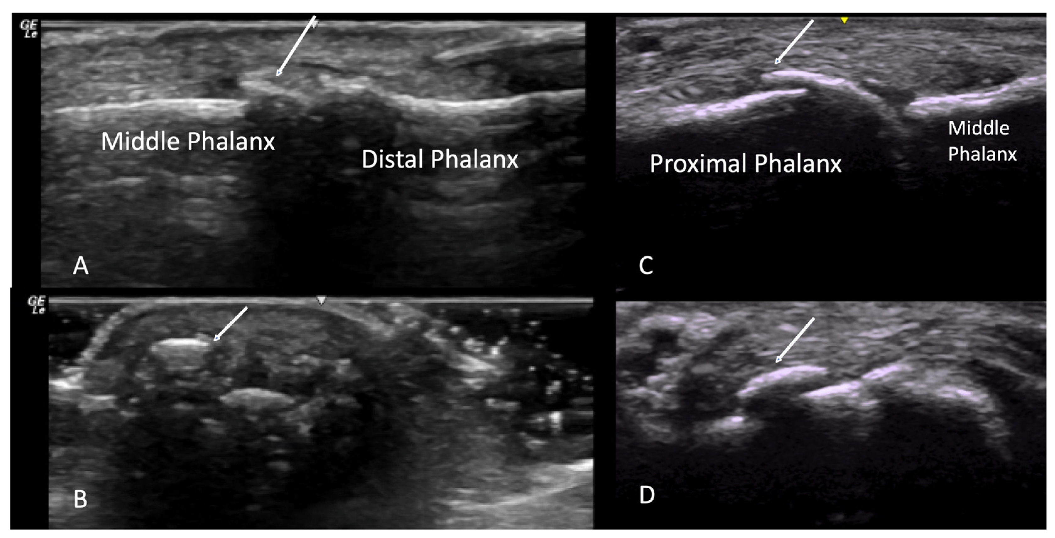 Diagnostics 14 00669 g001