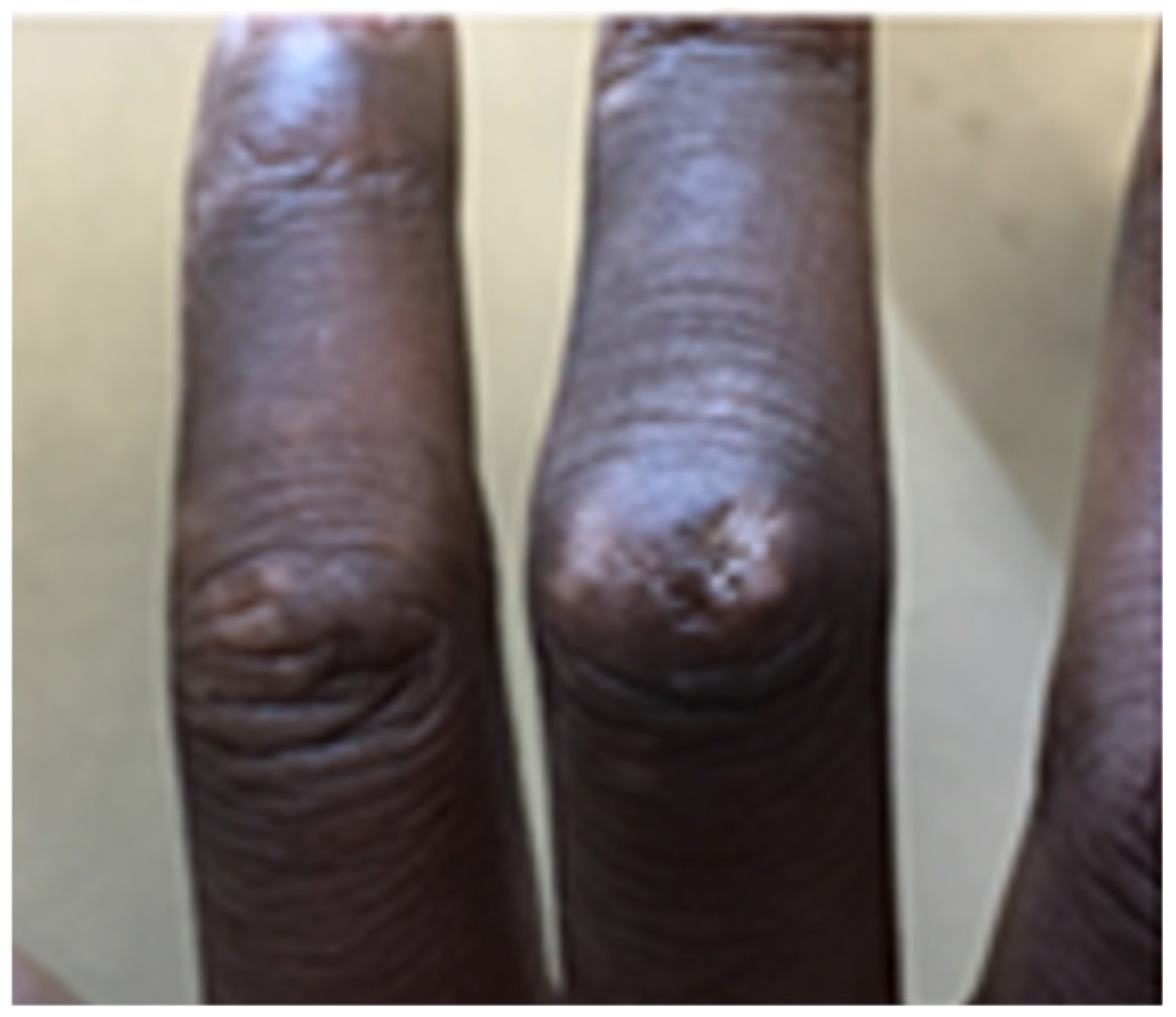 Diagnostics 14 00669 g002