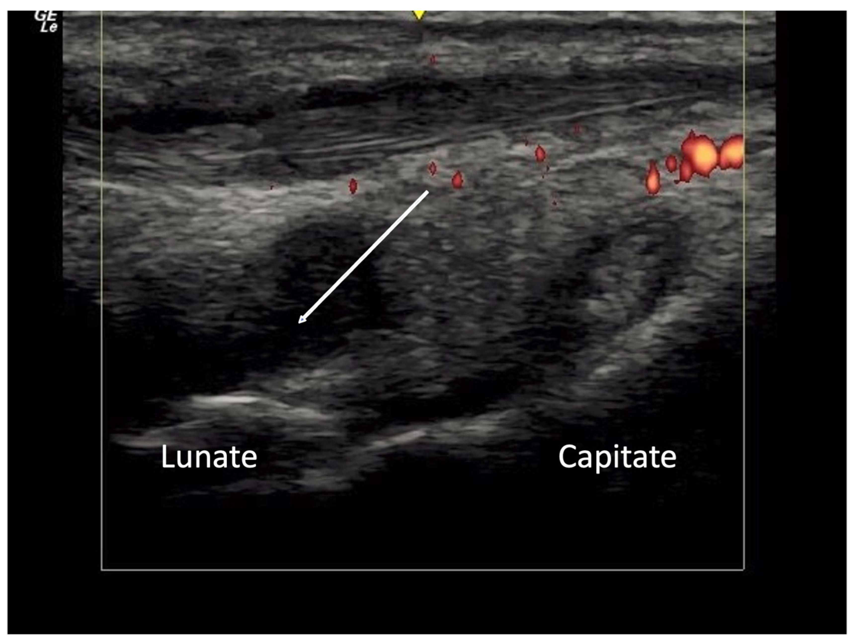 Diagnostics 14 00669 g003