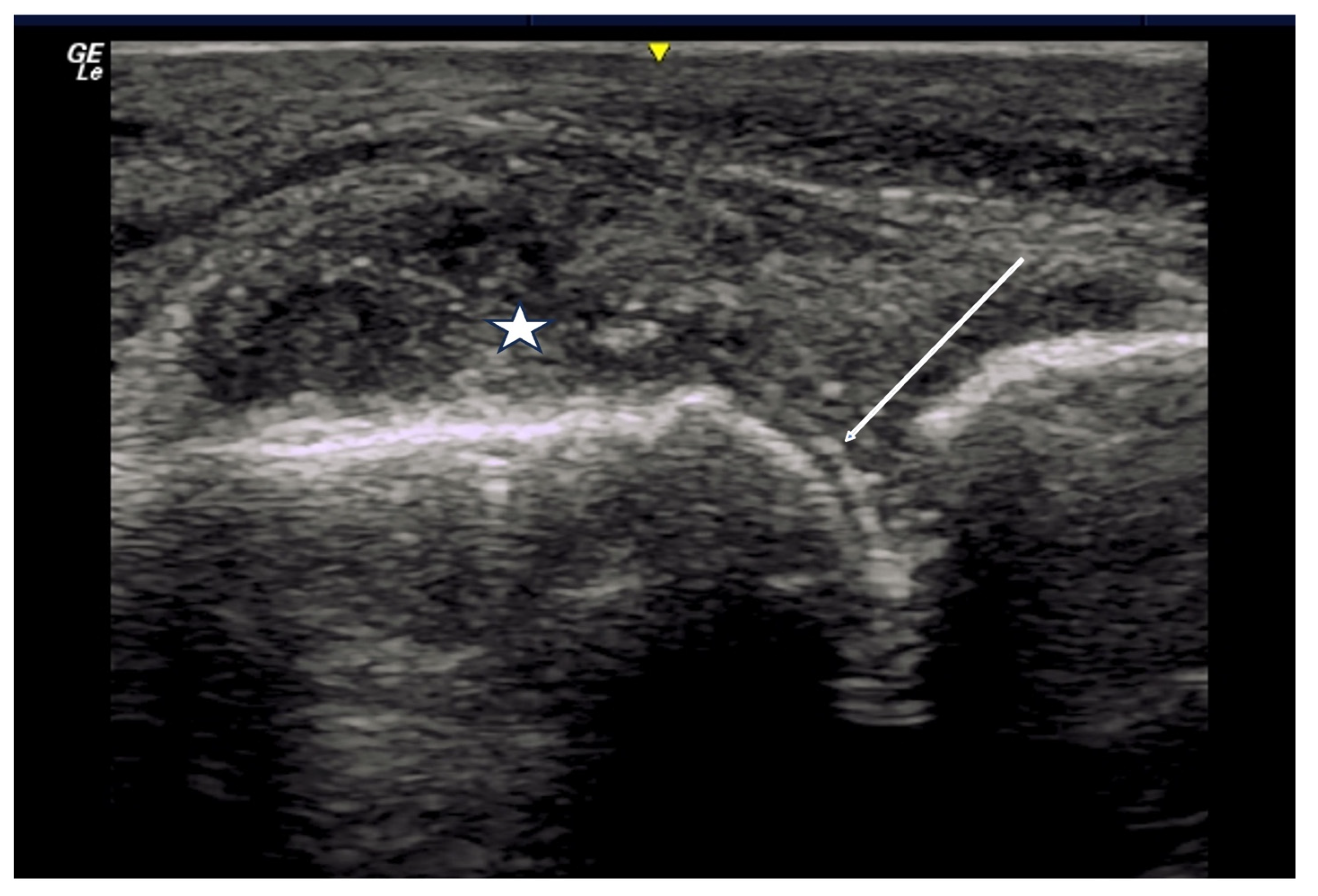 Diagnostics 14 00669 g008