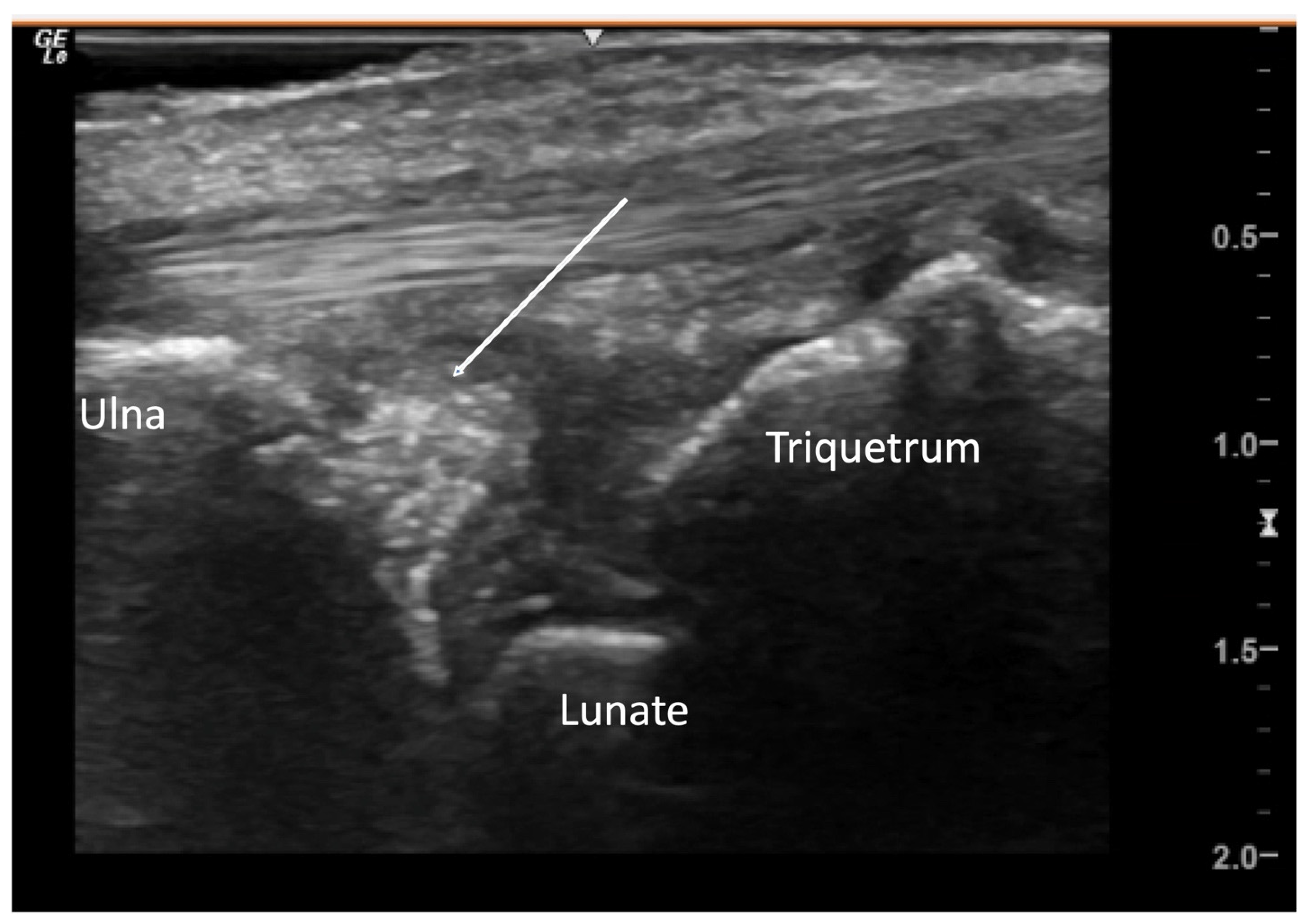Diagnostics 14 00669 g009