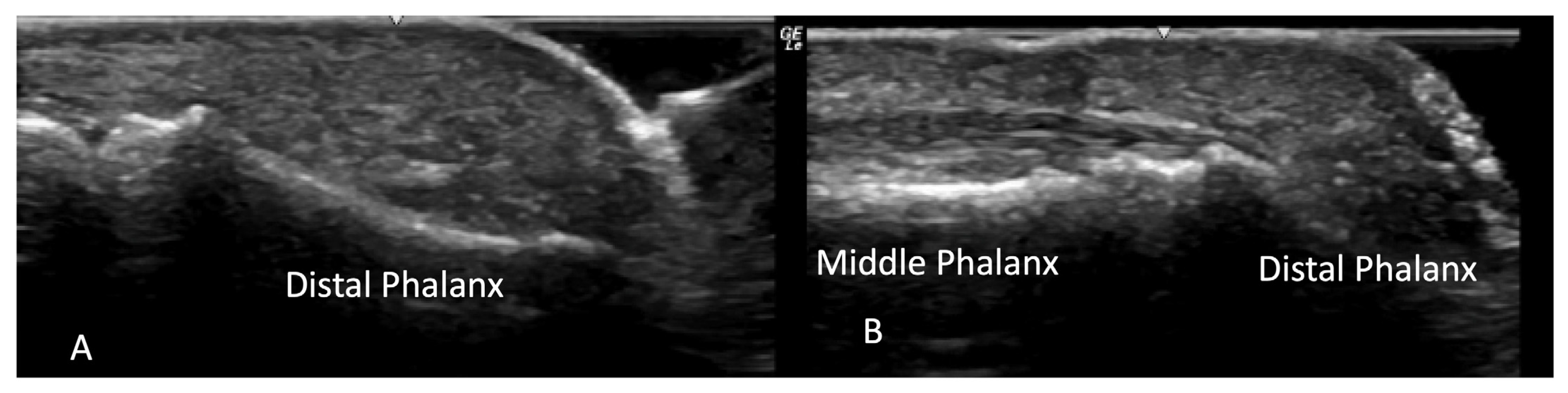 Diagnostics 14 00669 g012