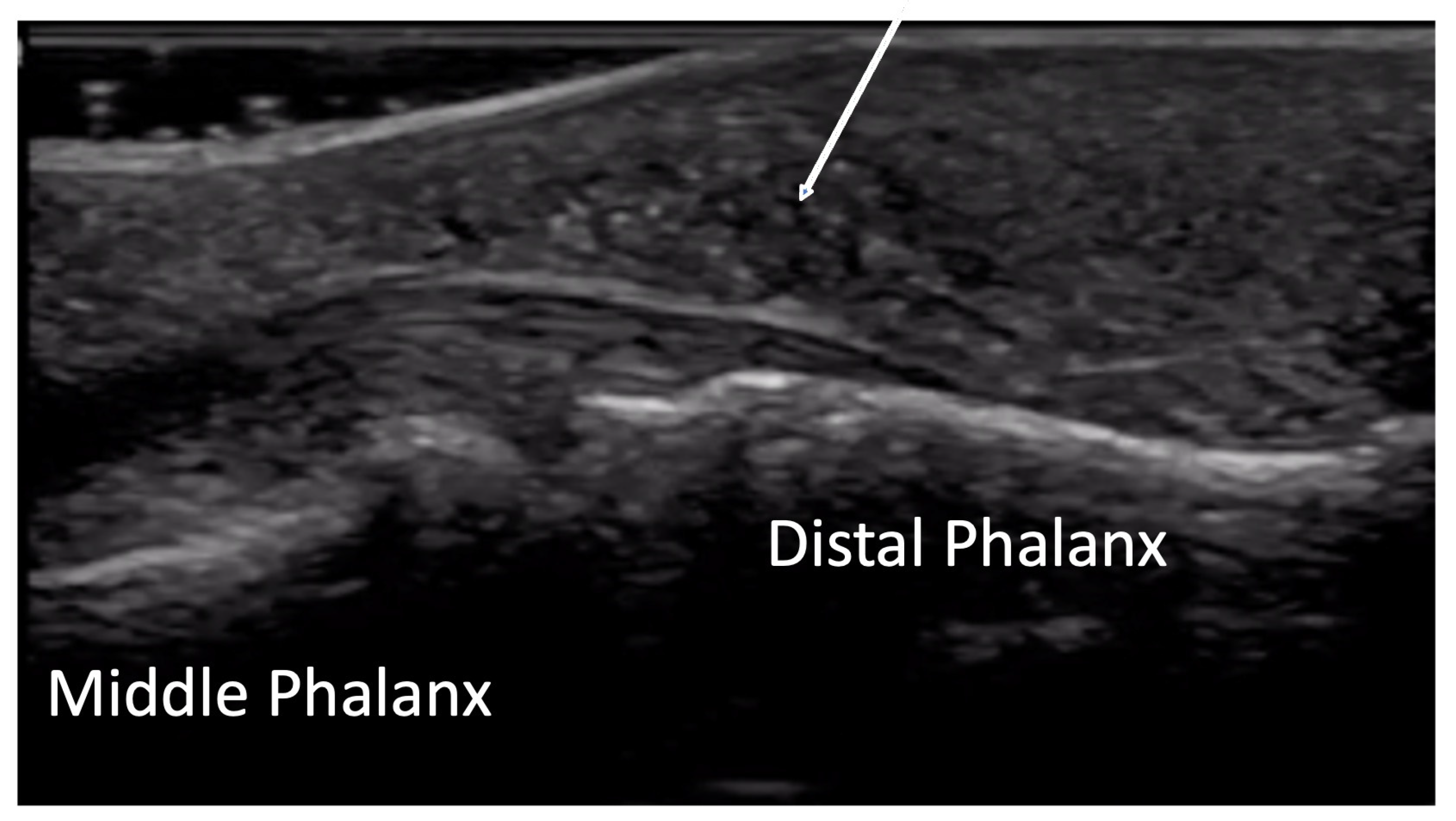 Diagnostics 14 00669 g018