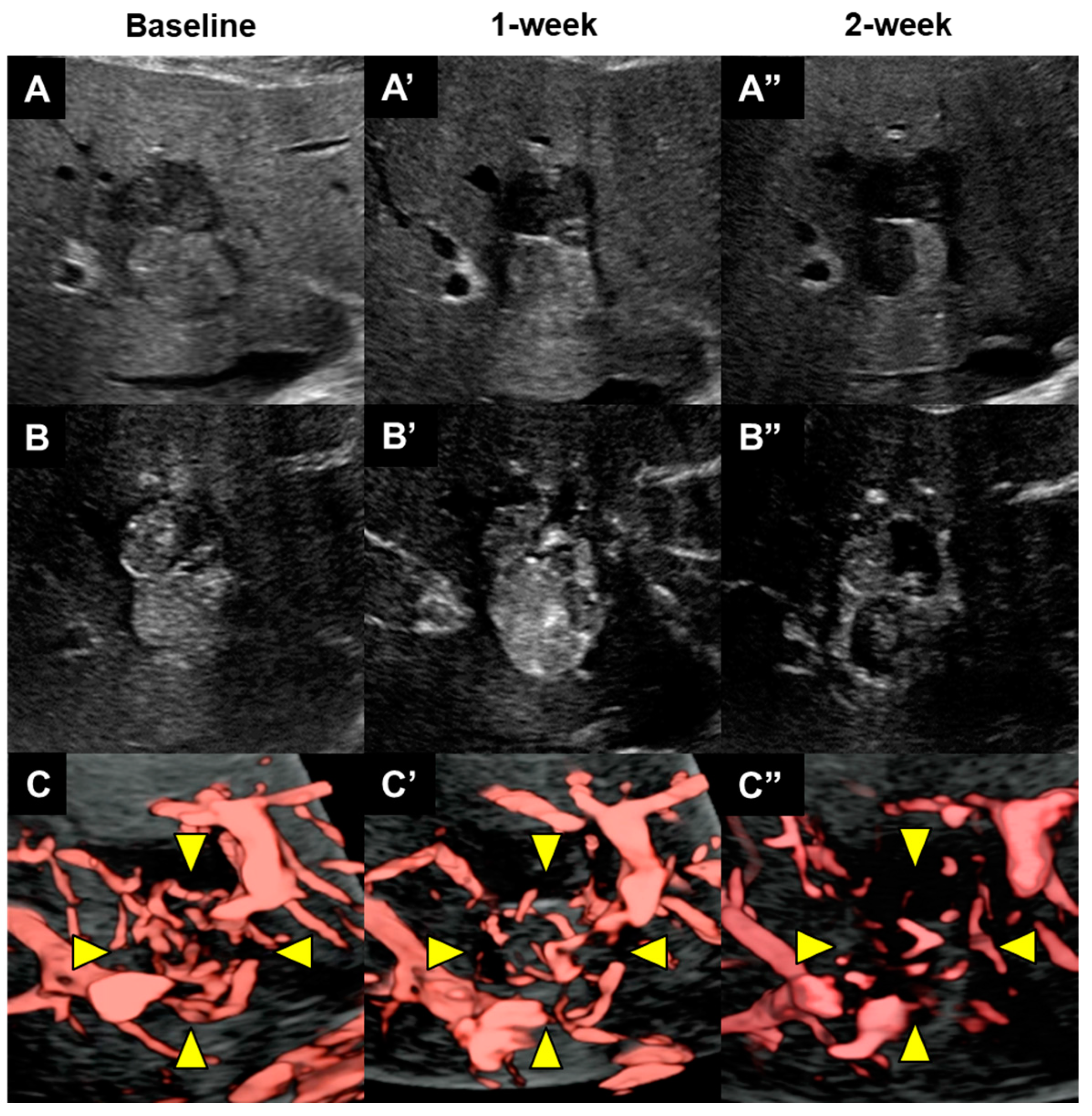 Diagnostics 14 00678 g003