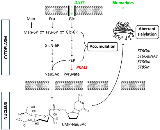 Diagnostics 14 00713 g003