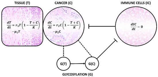 Diagnostics 14 00713 g005