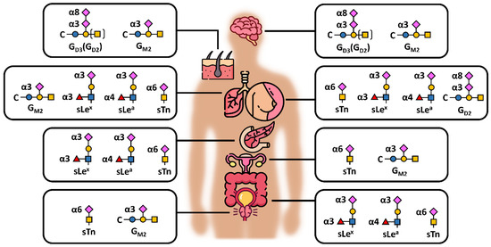 Diagnostics 14 00713 g006