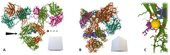 Diagnostics 14 00713 g007