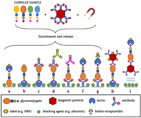 Diagnostics 14 00713 g008