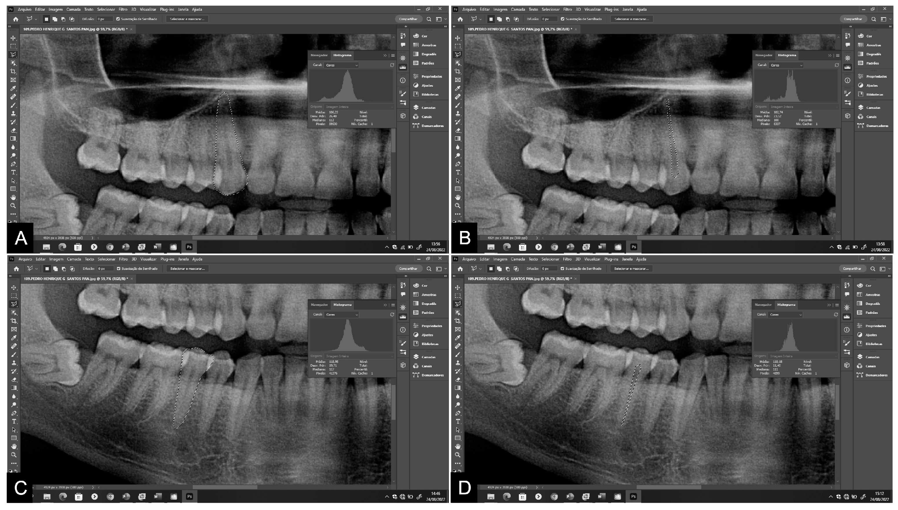 Diagnostics 14 00749 g001