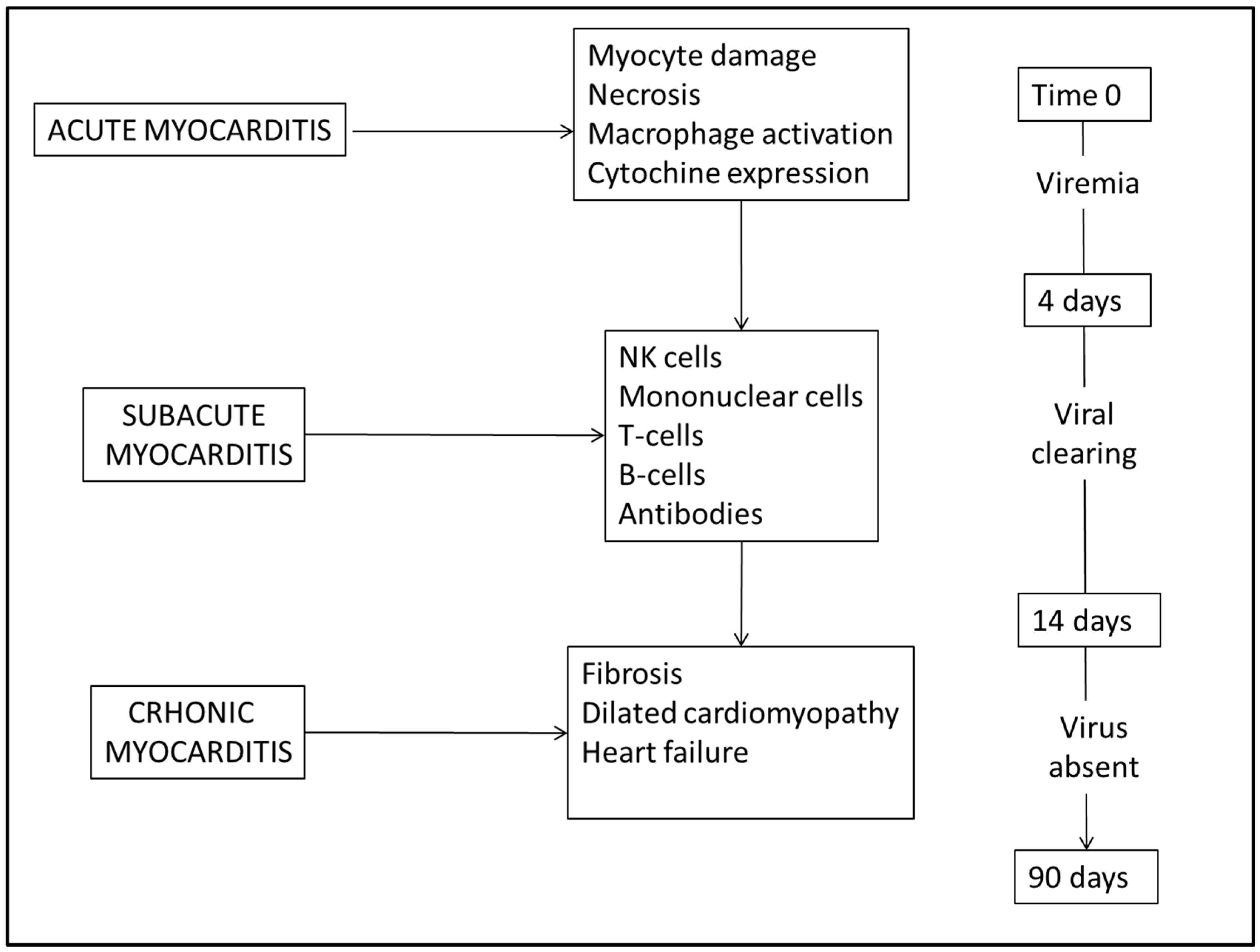 Diagnostics 14 00760 g001 Diagnostics 14 00760 g001