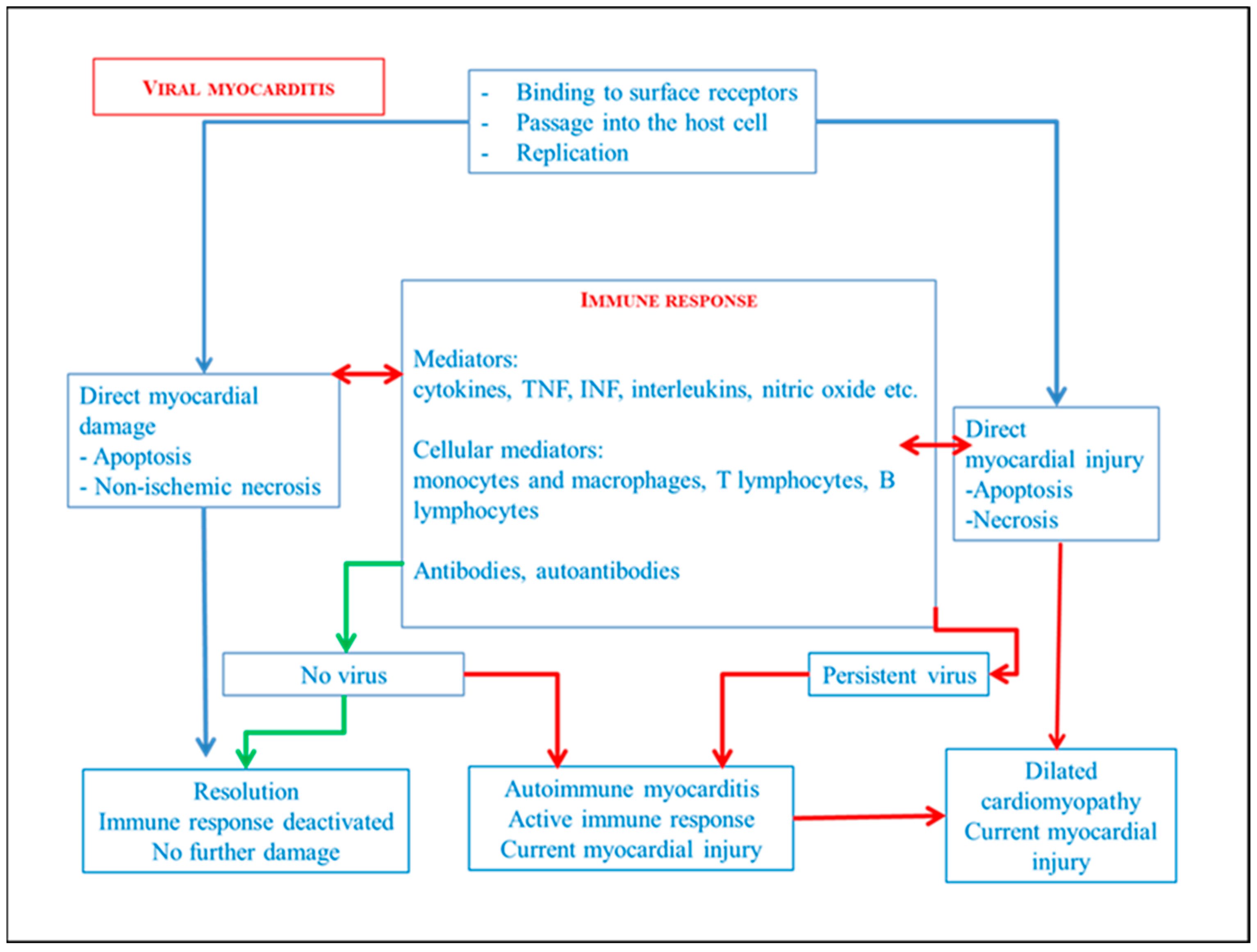Diagnostics 14 00760 g003 Diagnostics 14 00760 g003