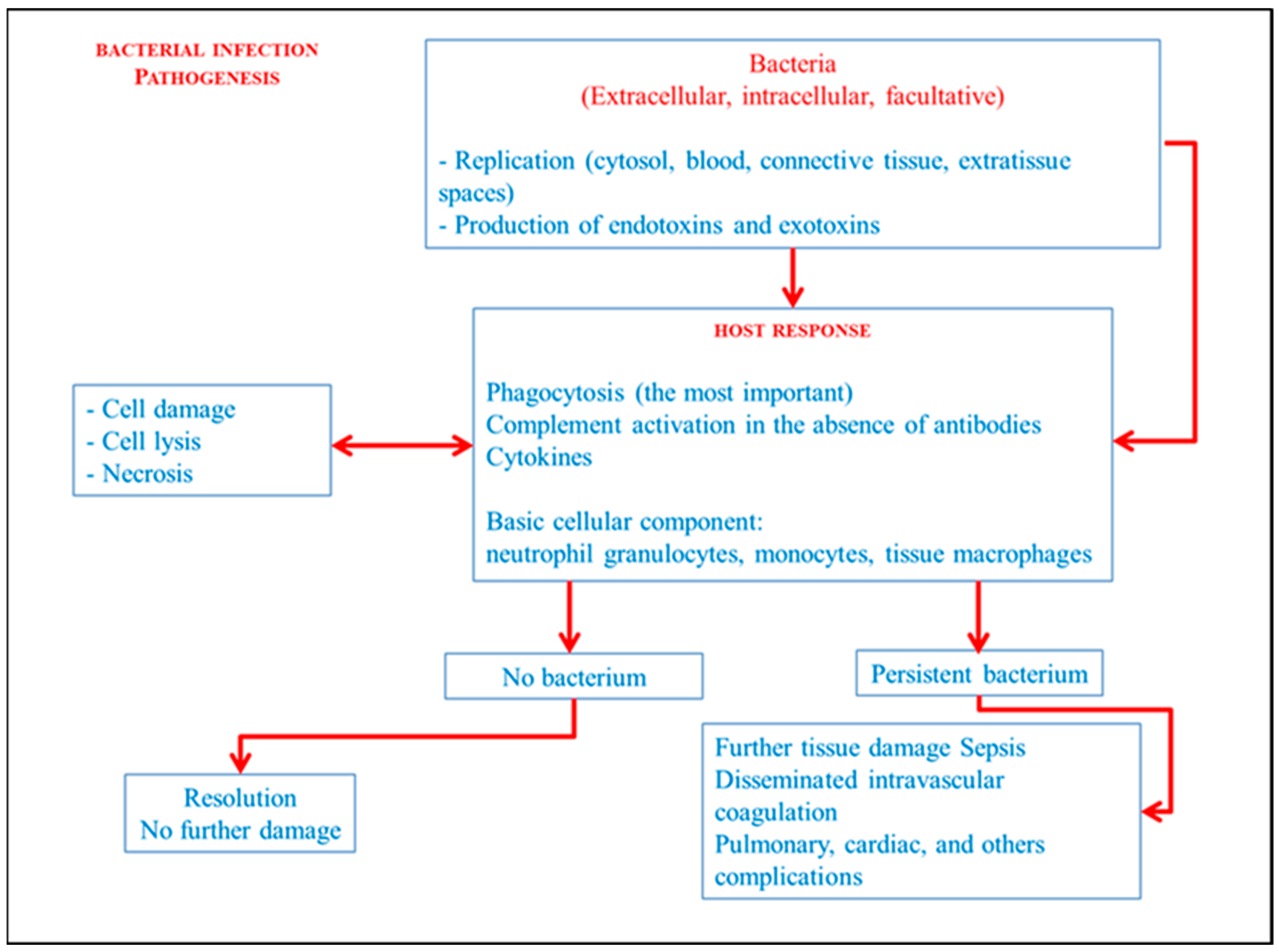 Diagnostics 14 00760 g004 Diagnostics 14 00760 g004