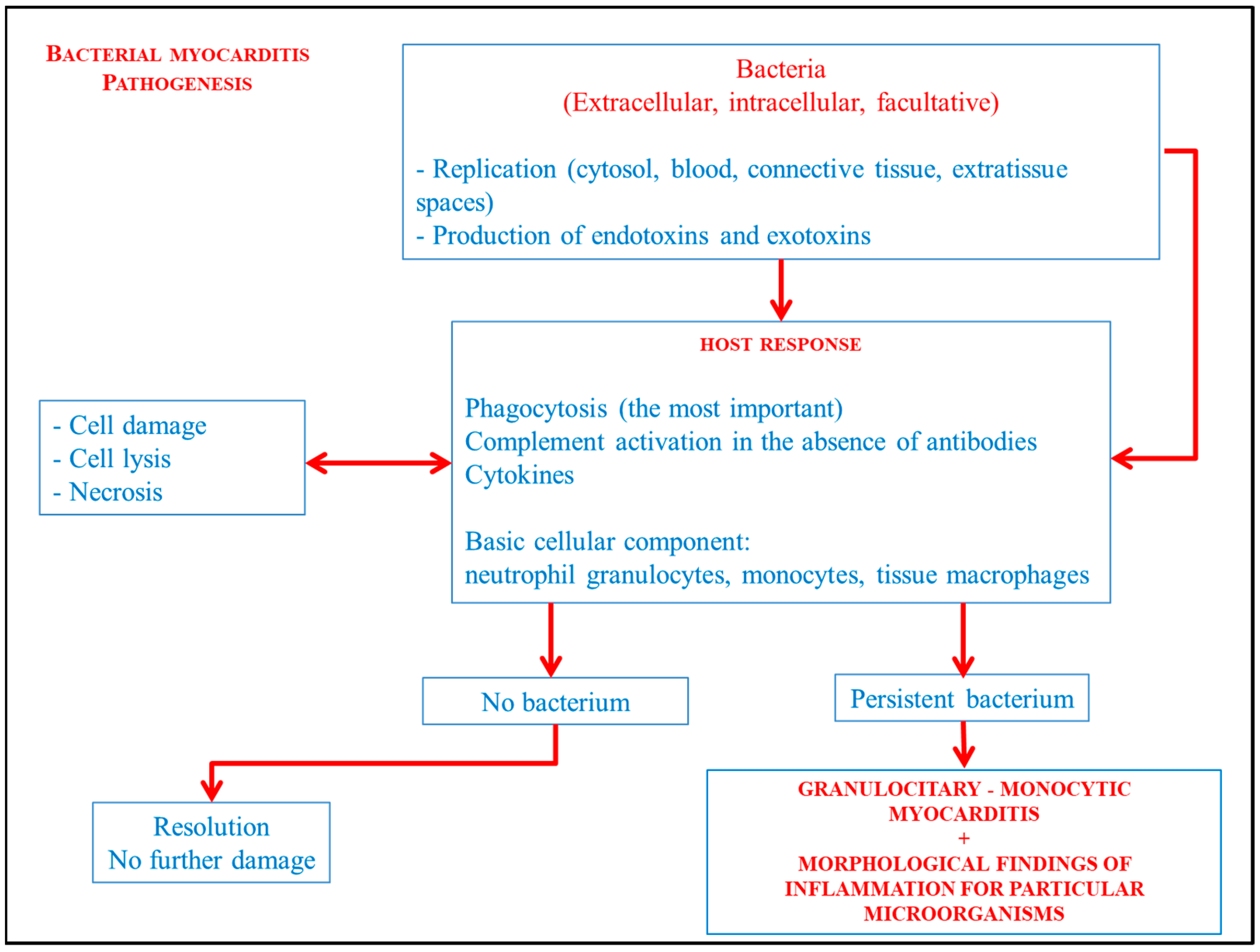 Diagnostics 14 00760 g005 Diagnostics 14 00760 g005