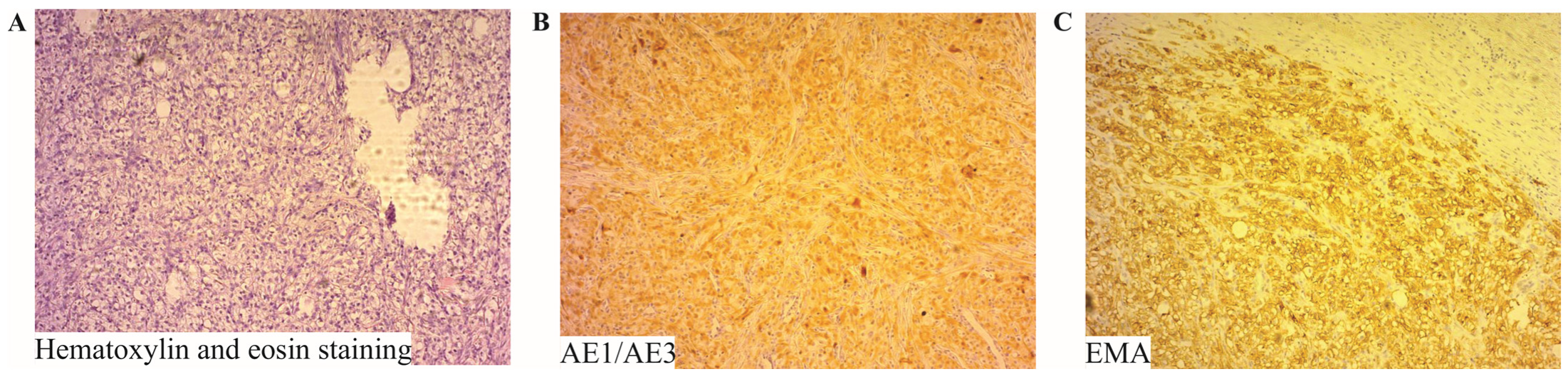 Diagnostics 14 00761 g002