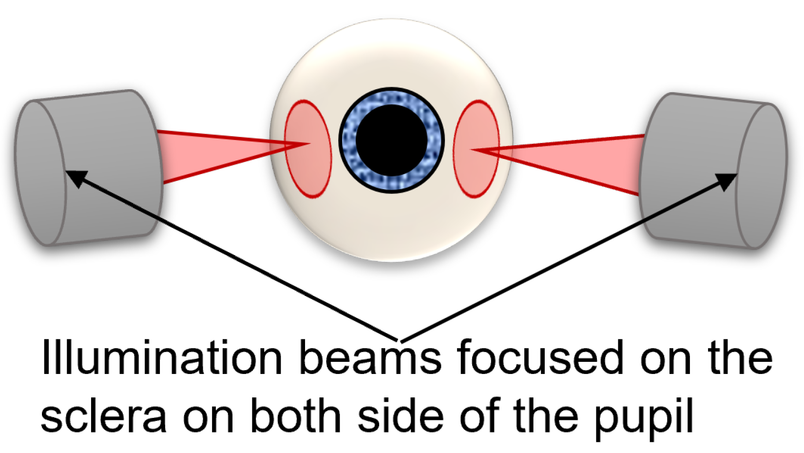 Diagnostics 14 00768 g001