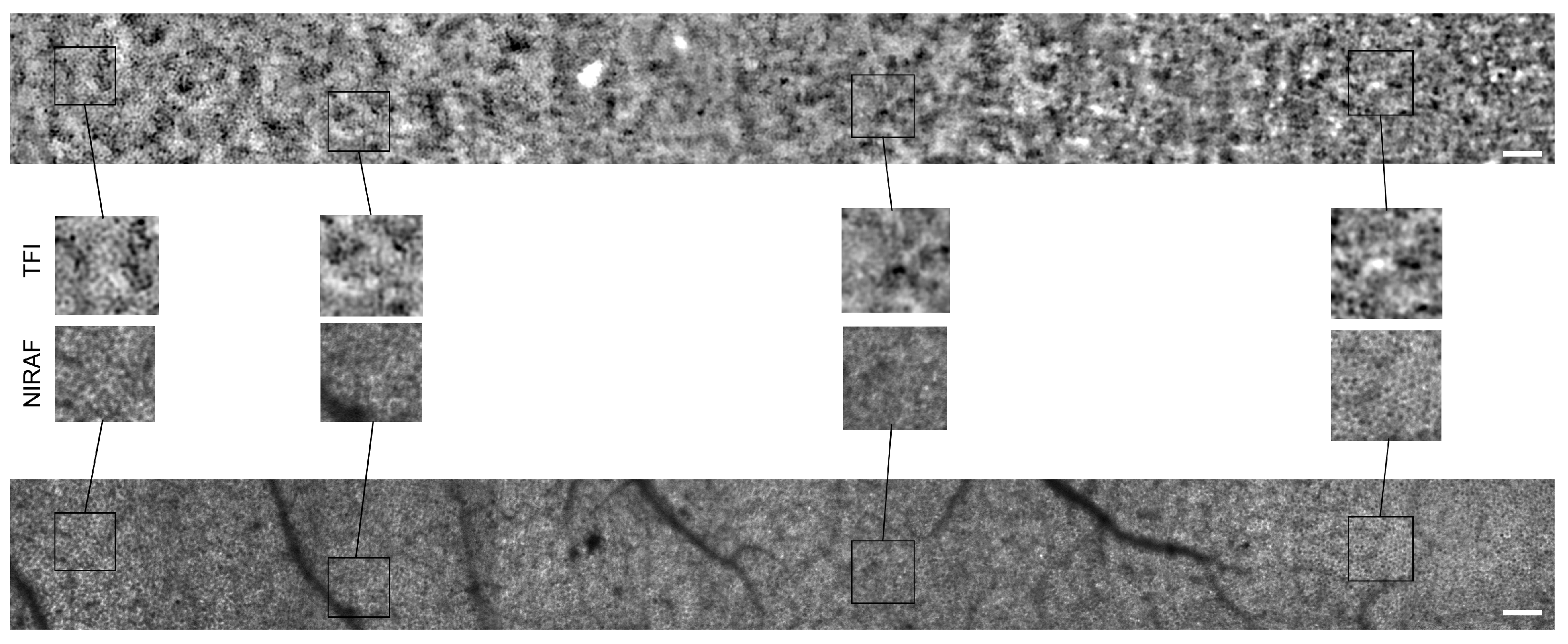 Diagnostics 14 00768 g0a2