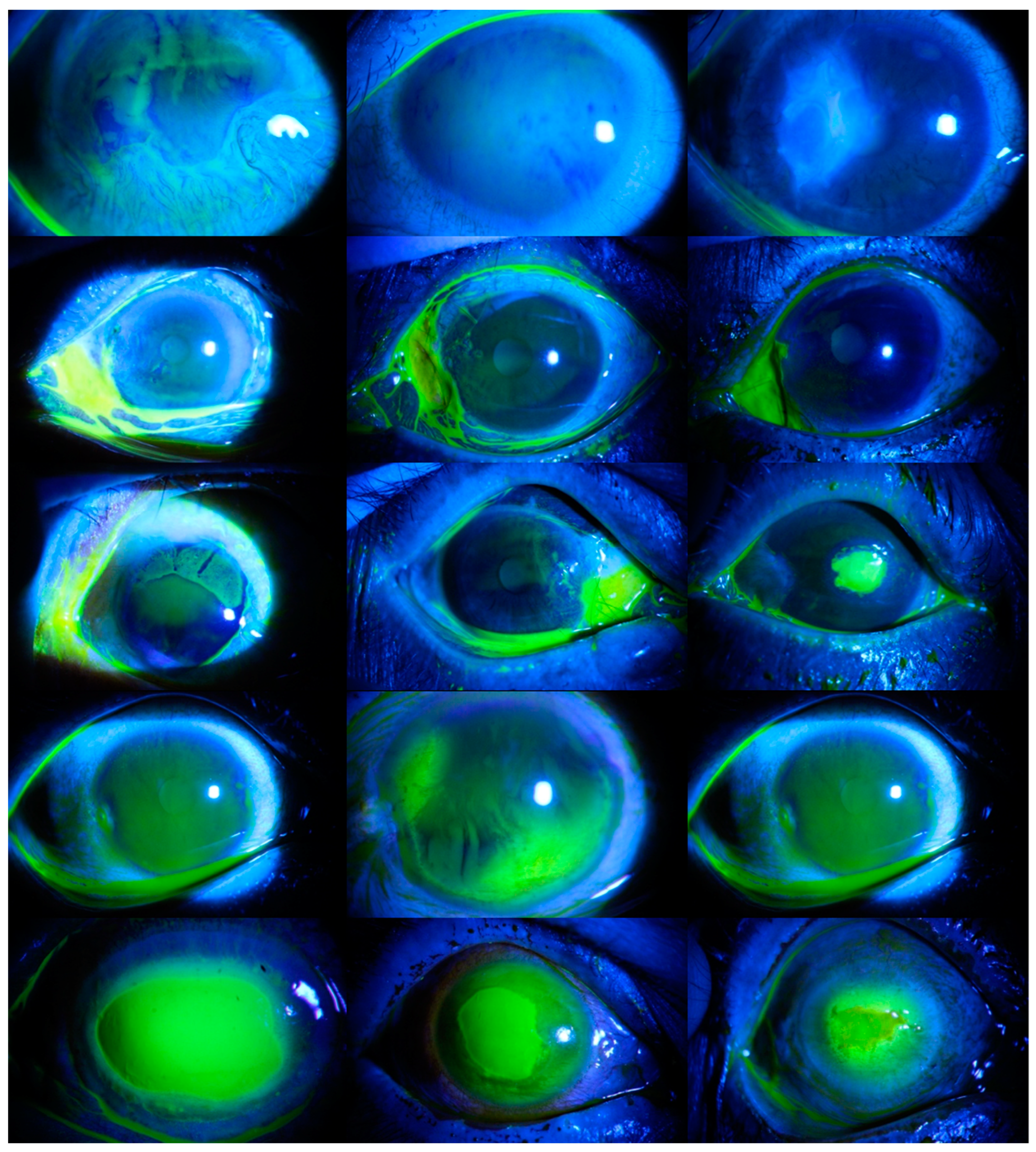 Diagnostics 14 00786 g002 Diagnostics 14 00786 g002