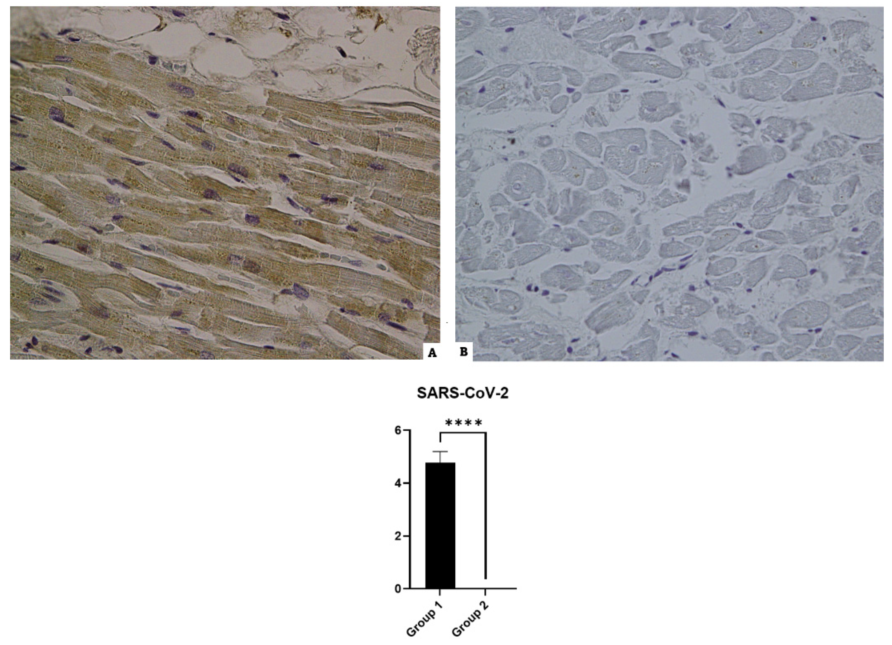 Diagnostics 14 00787 g001