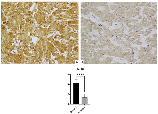 Diagnostics 14 00787 g002
