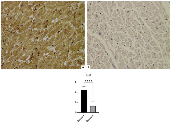 Diagnostics 14 00787 g003