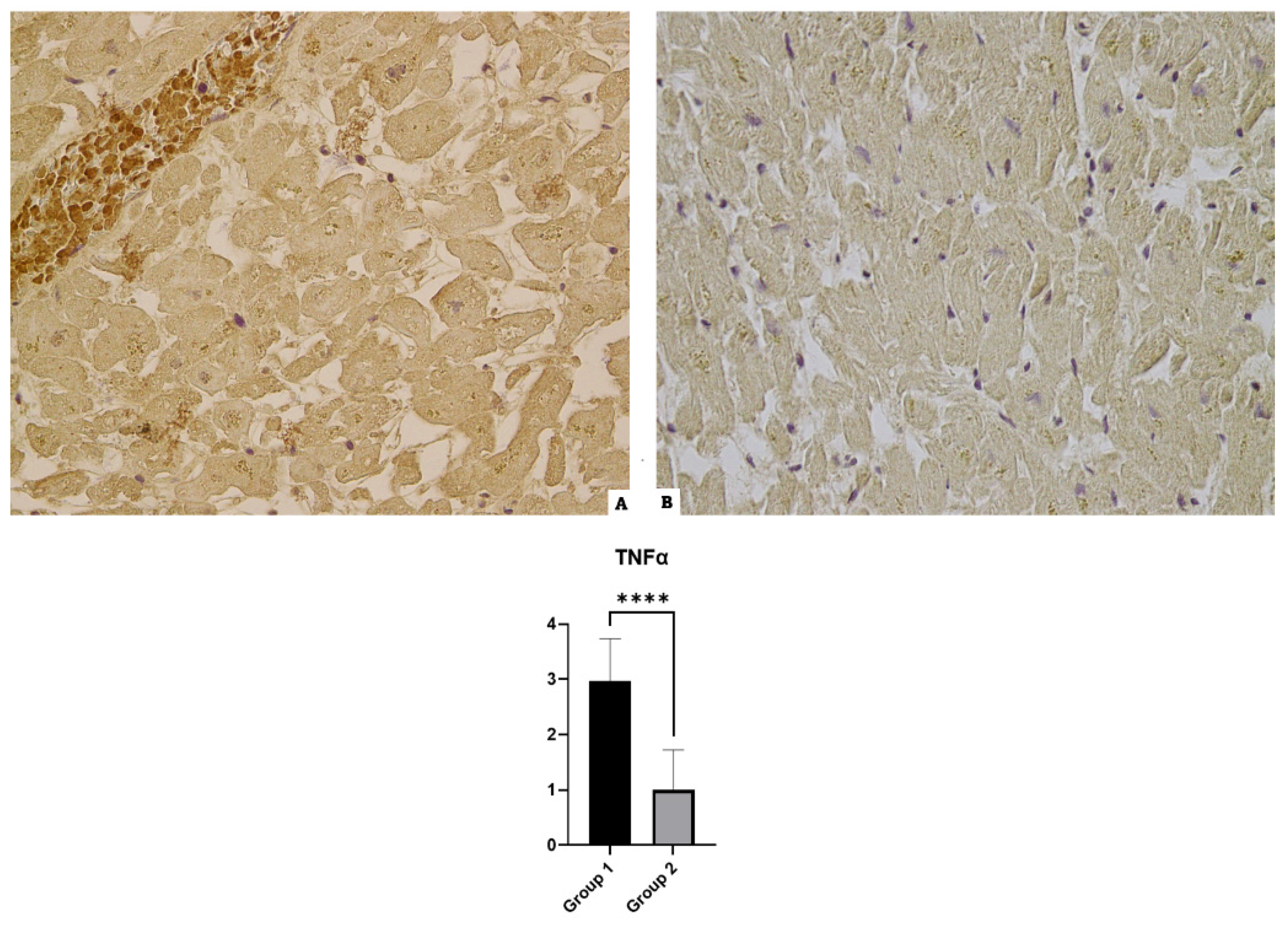 Diagnostics 14 00787 g005