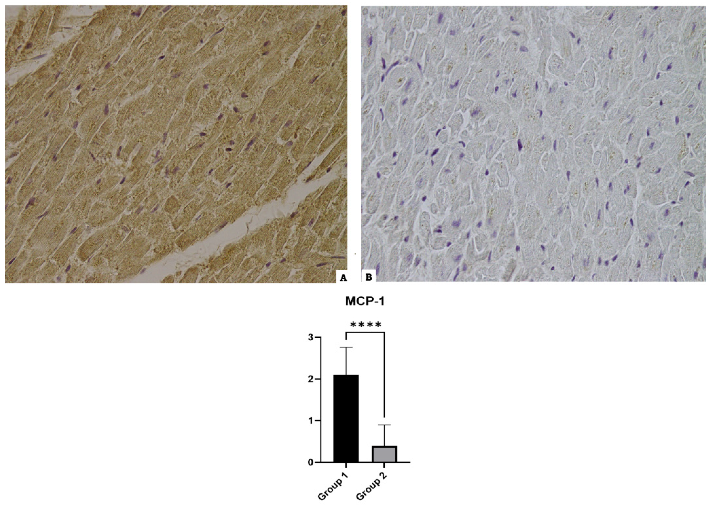 Diagnostics 14 00787 g006