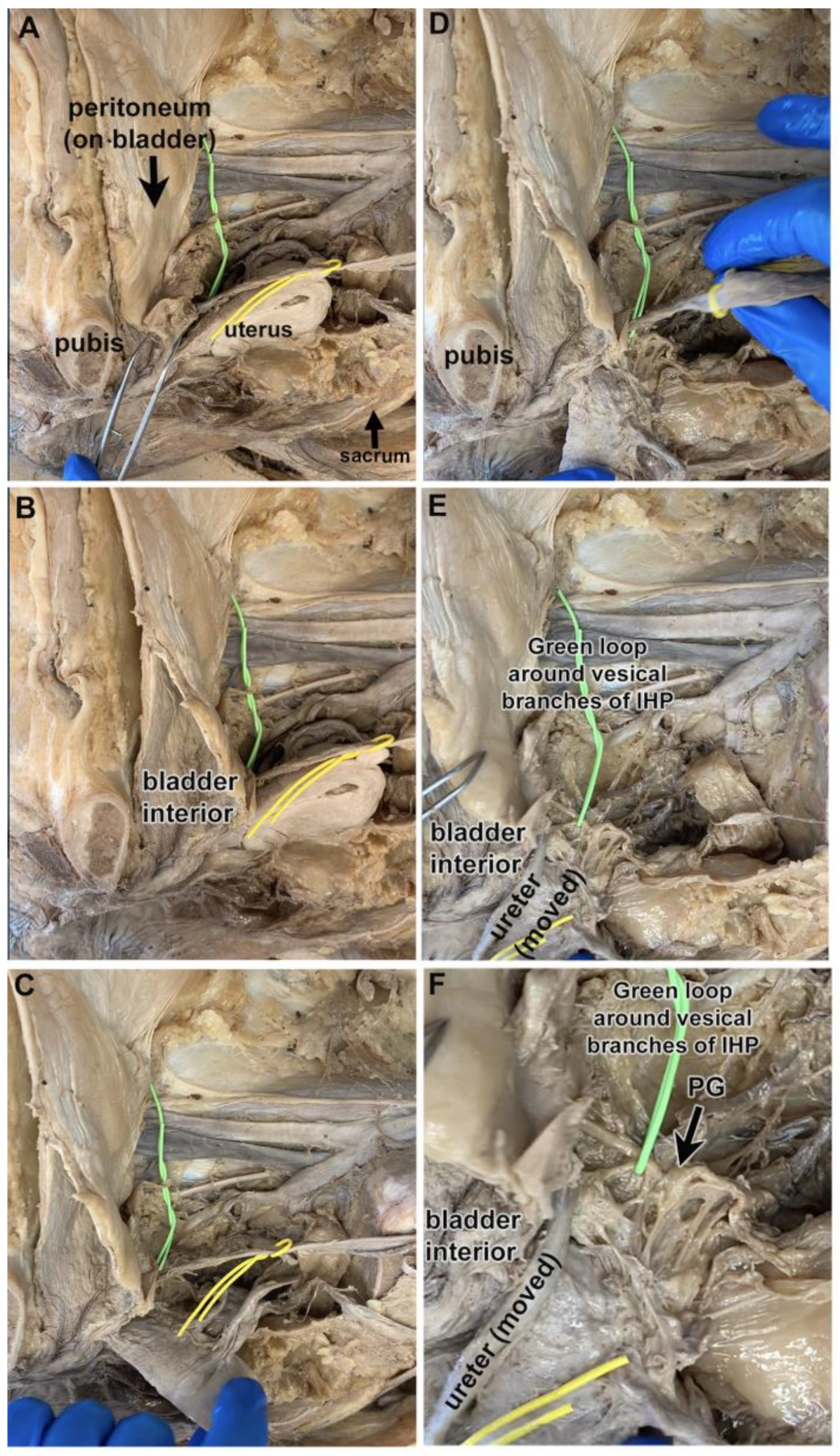 Diagnostics 14 00794 g002