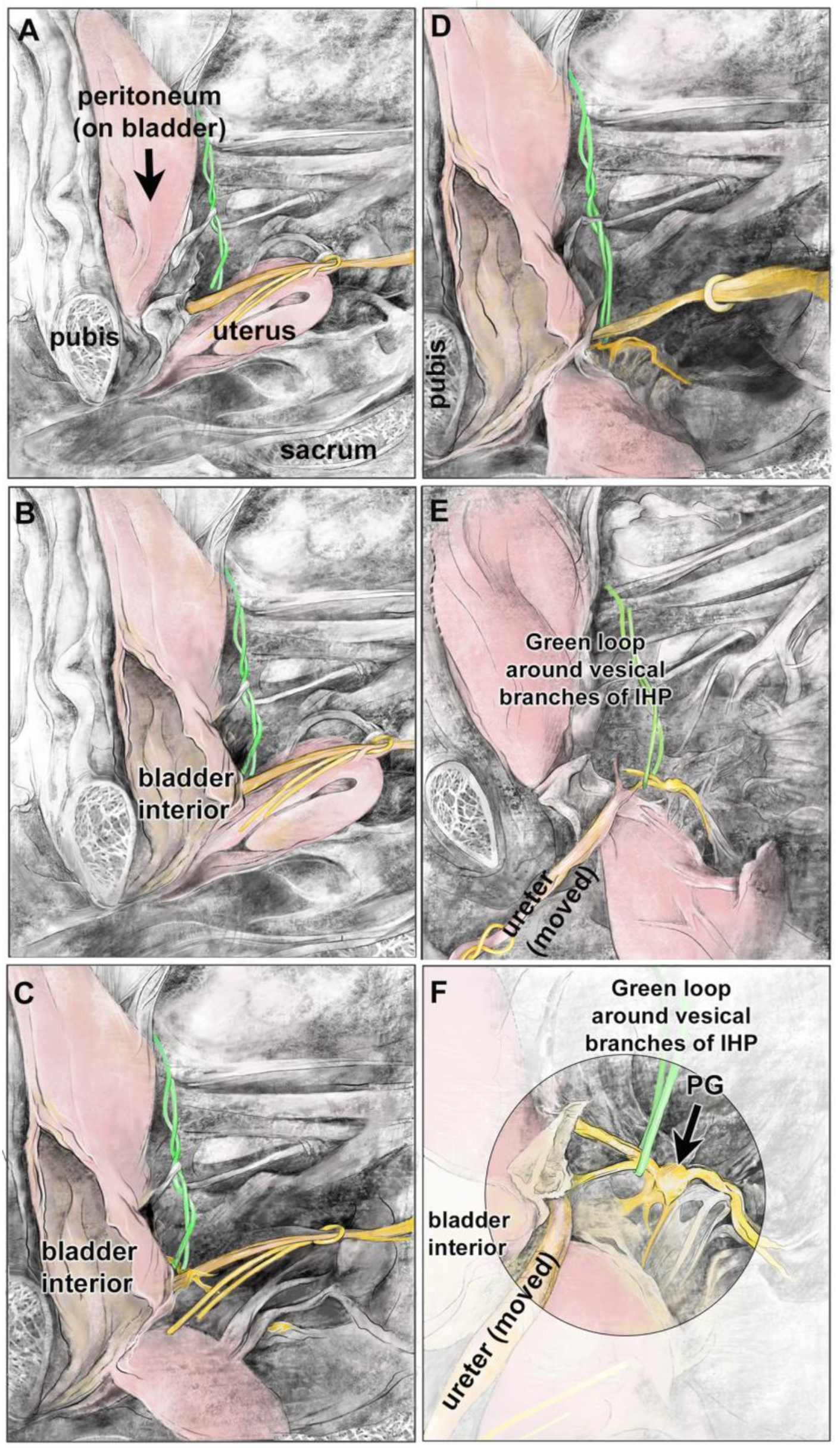 Diagnostics 14 00794 g003