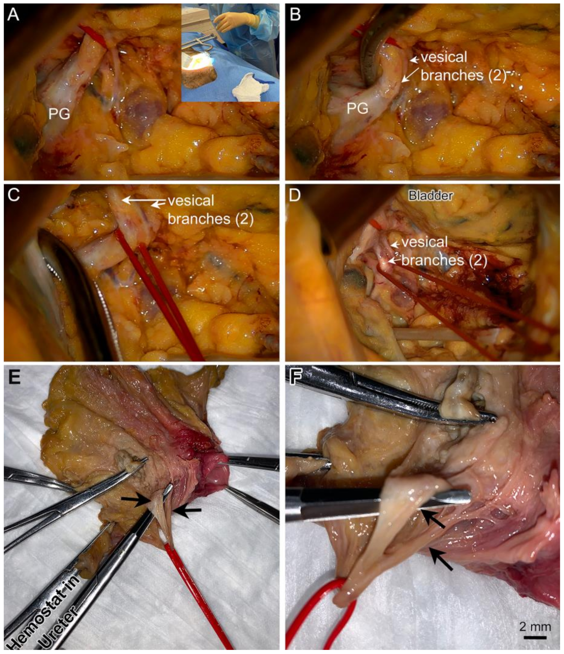 Diagnostics 14 00794 g006