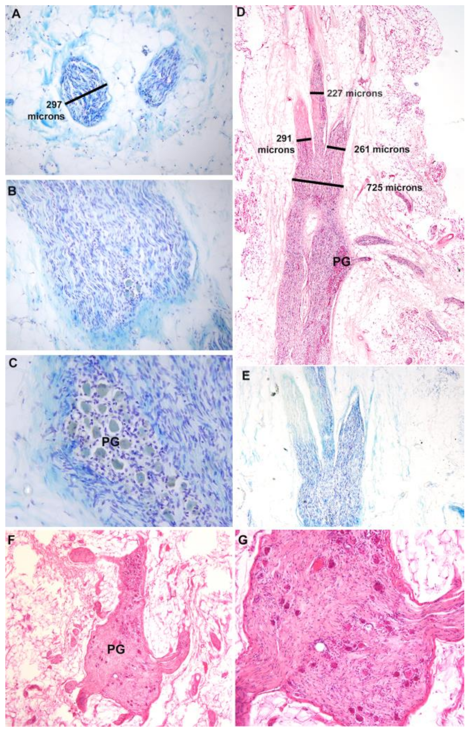Diagnostics 14 00794 g007