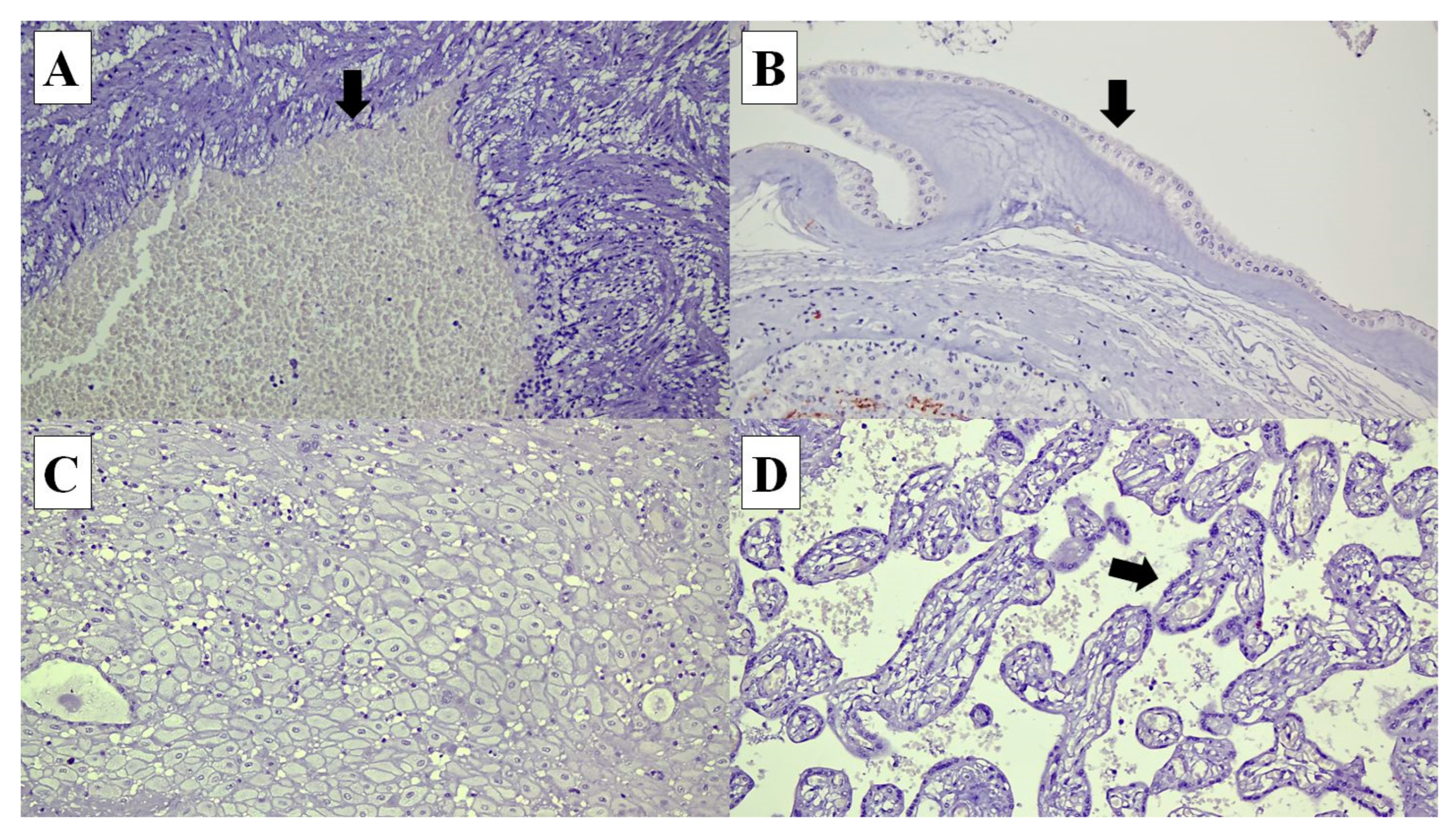 Diagnostics 14 00811 g002