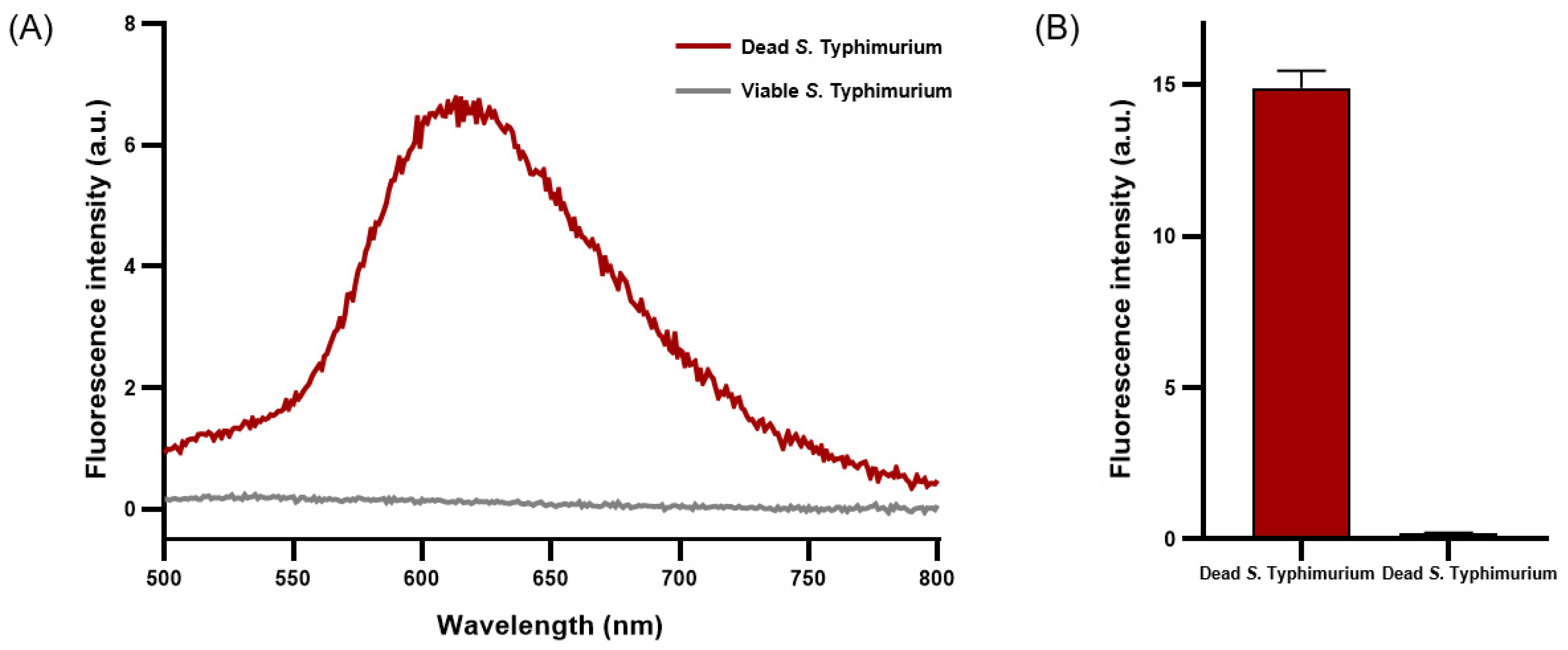 Diagnostics 14 00831 g002