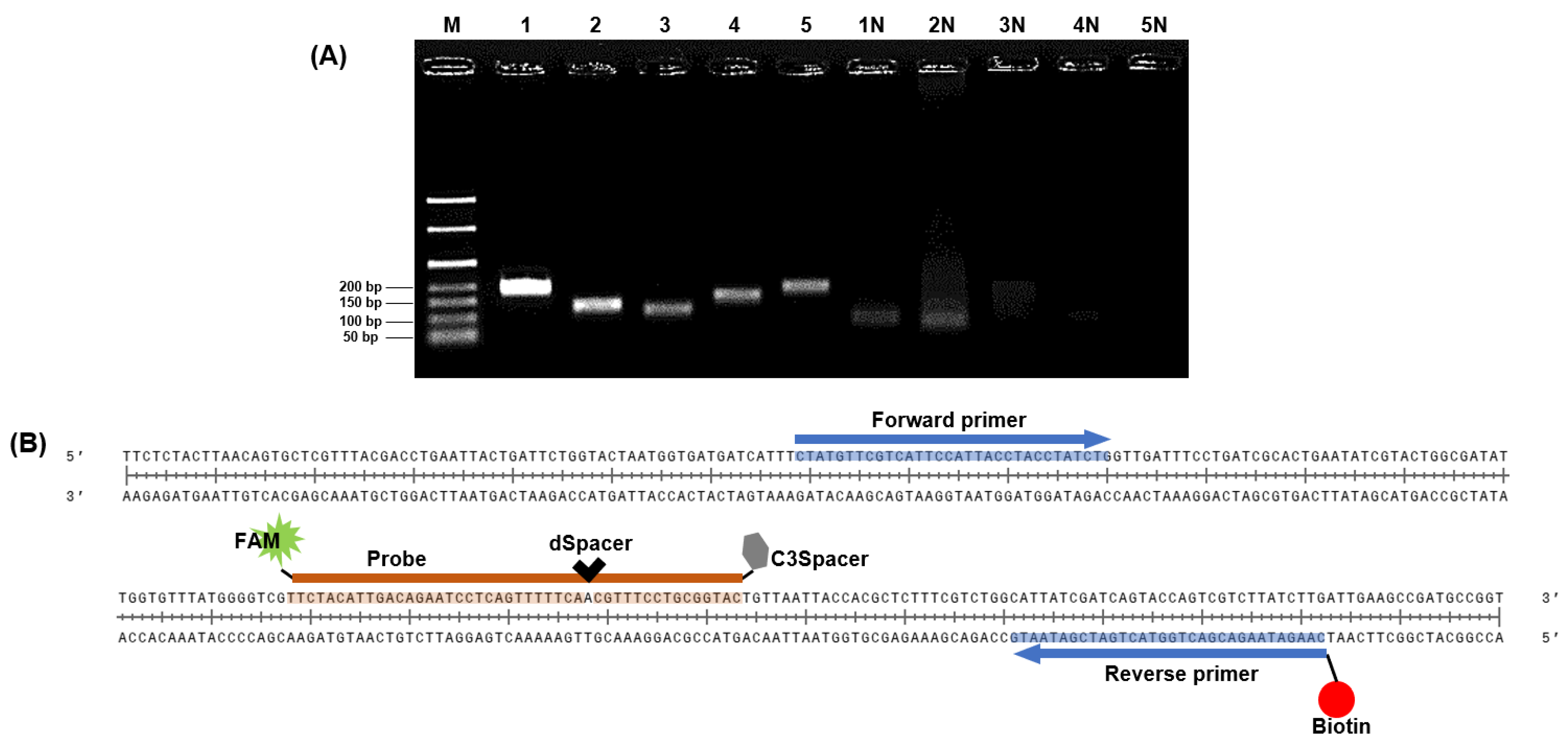 Diagnostics 14 00831 g003