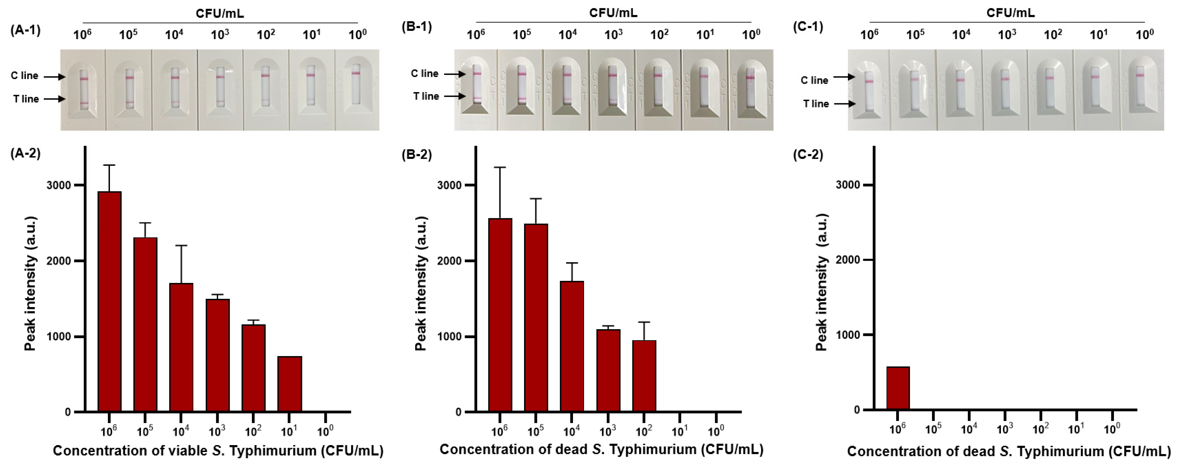 Diagnostics 14 00831 g006