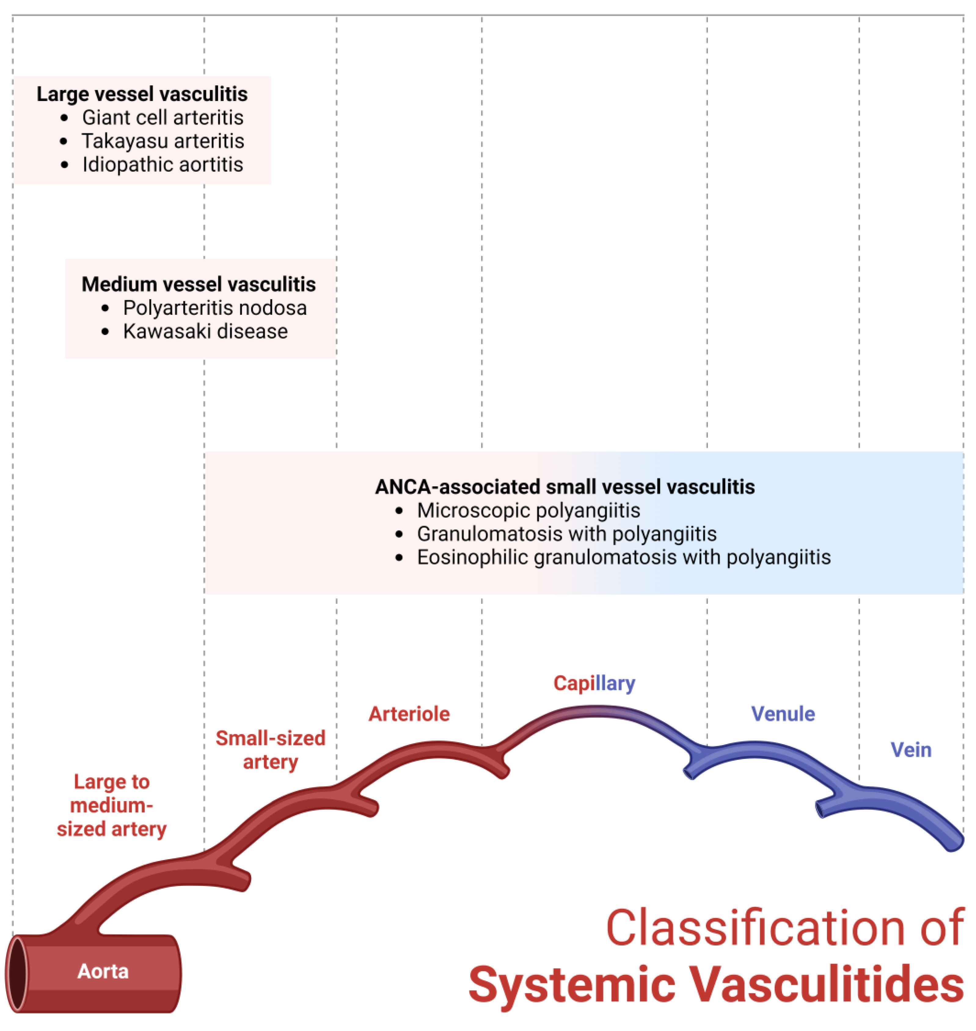 Diagnostics 14 00838 g001