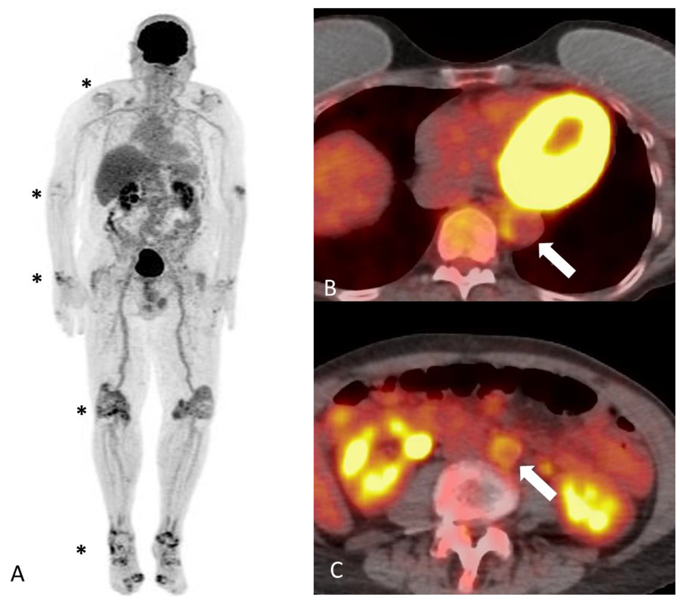 Diagnostics 14 00838 g004
