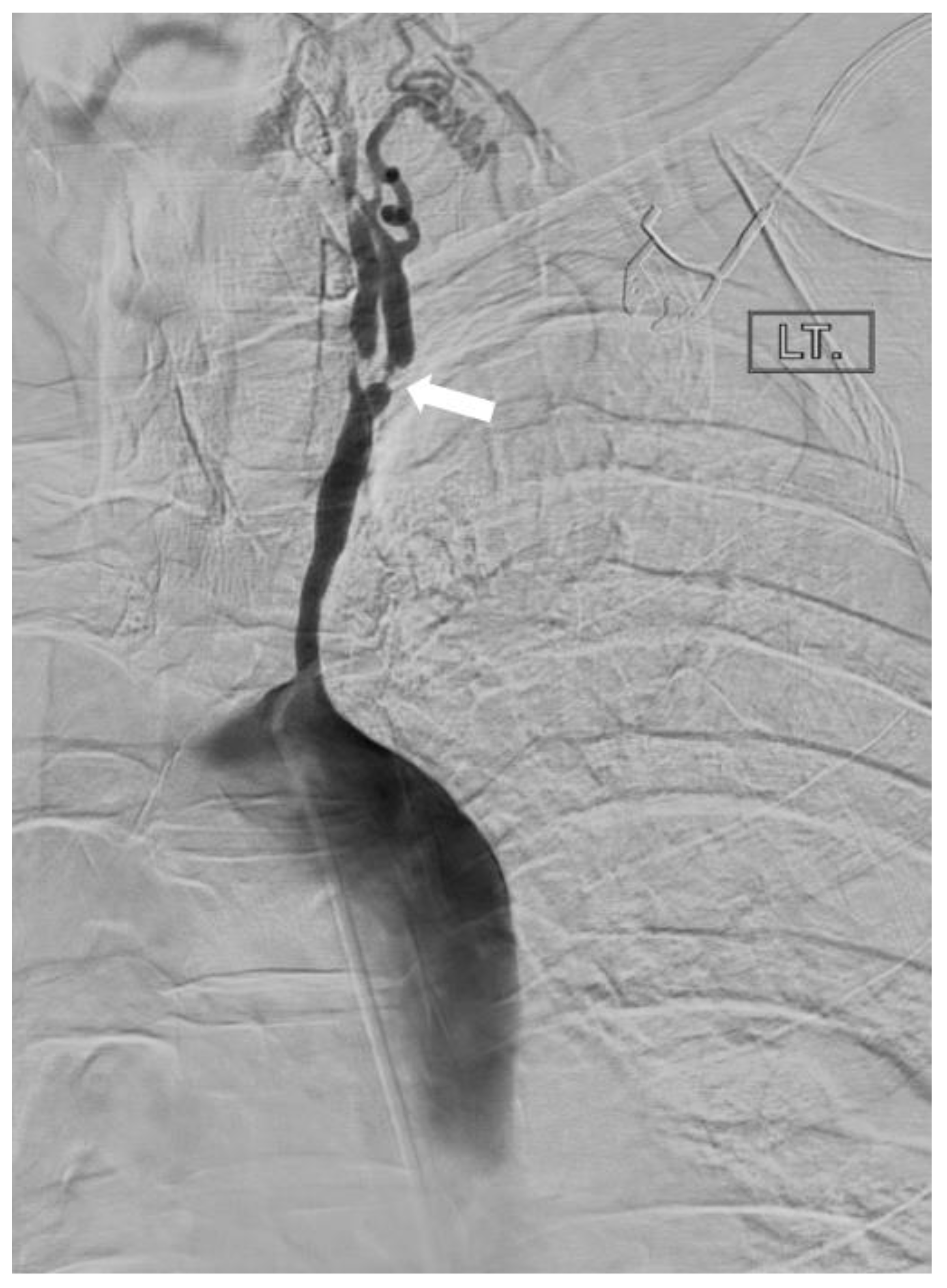 Diagnostics 14 00838 g007