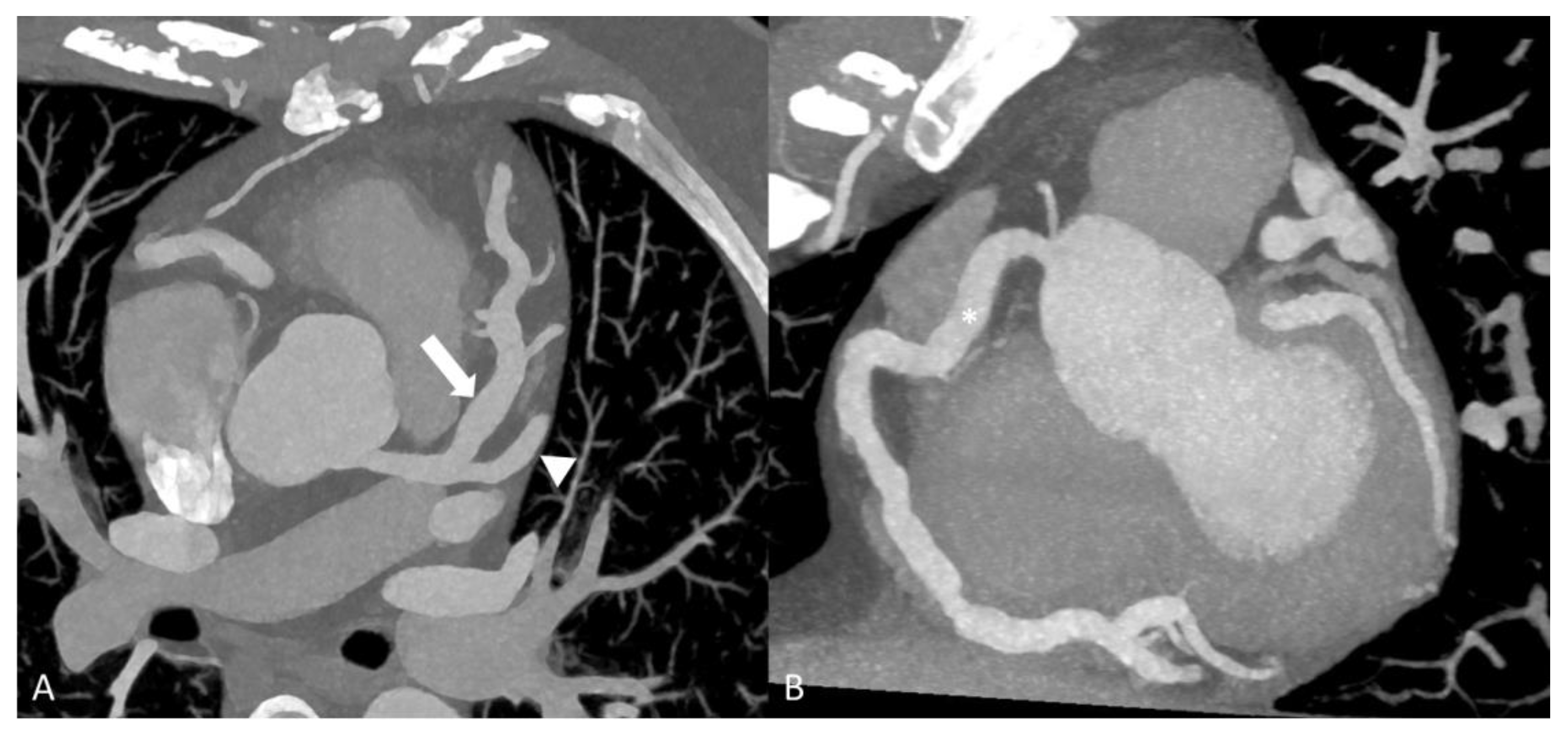 Diagnostics 14 00838 g009