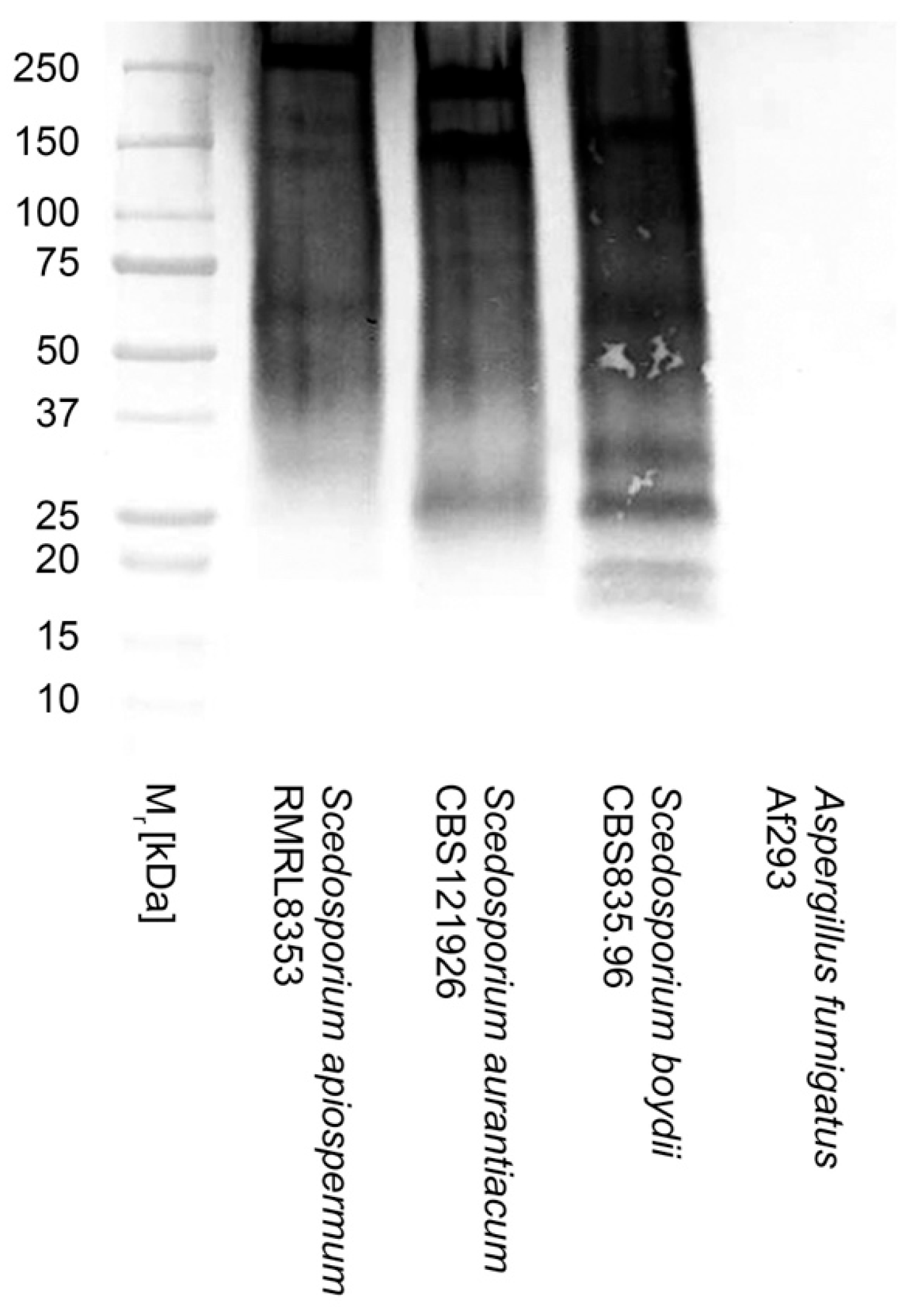 Diagnostics 14 00847 g002 Diagnostics 14 00847 g002