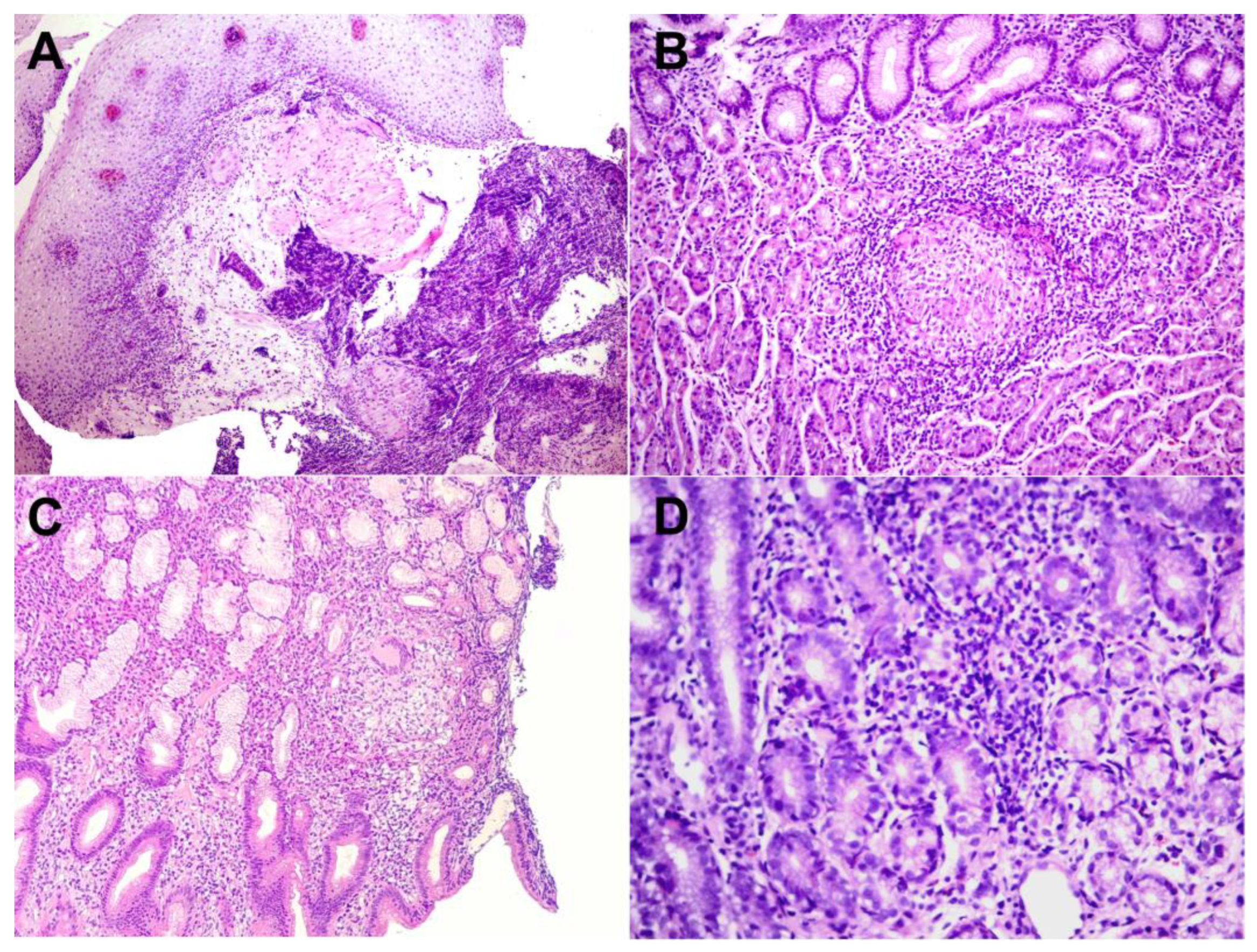 Diagnostics 14 00877 g003