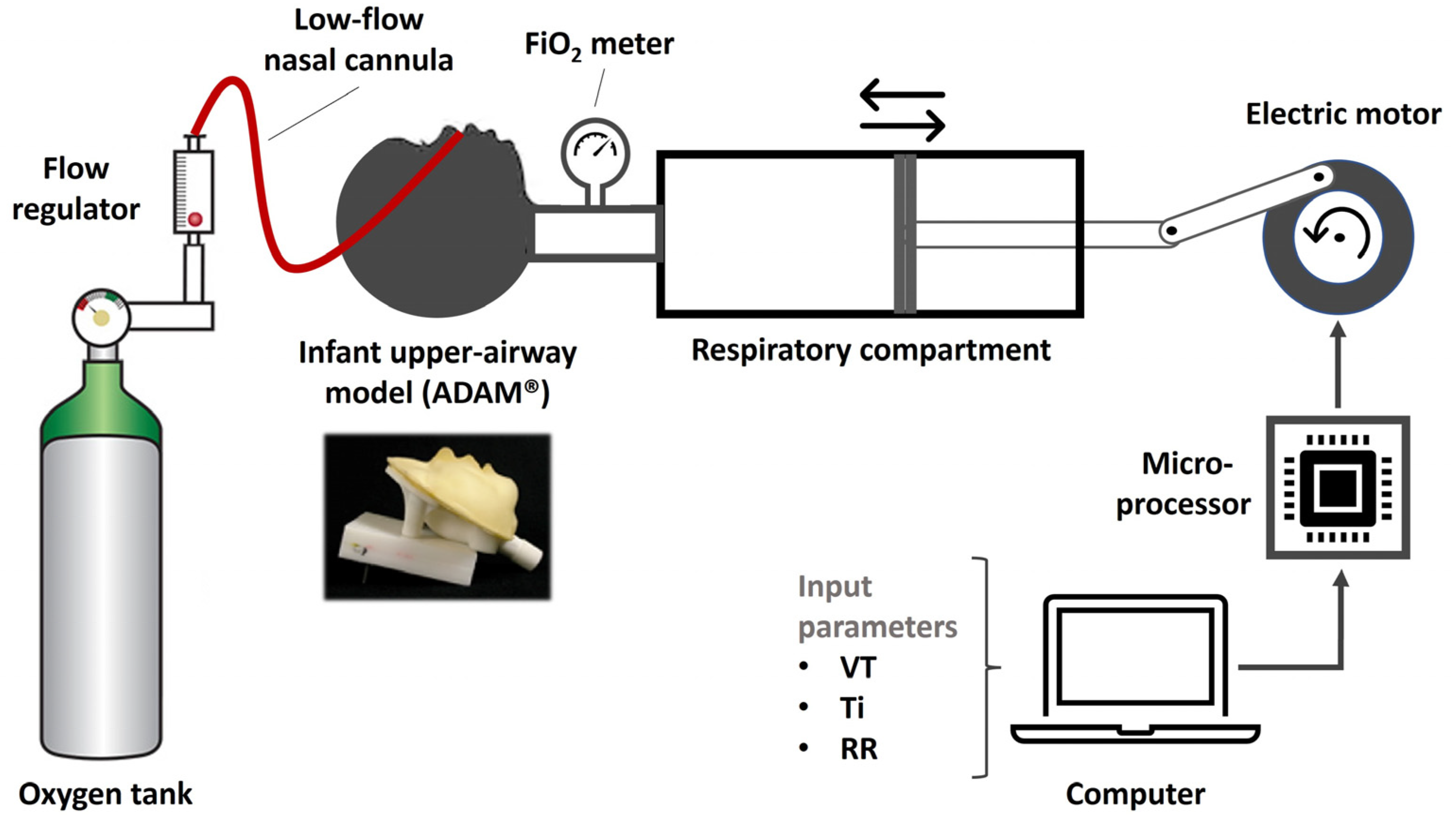 Diagnostics 14 00889 g002