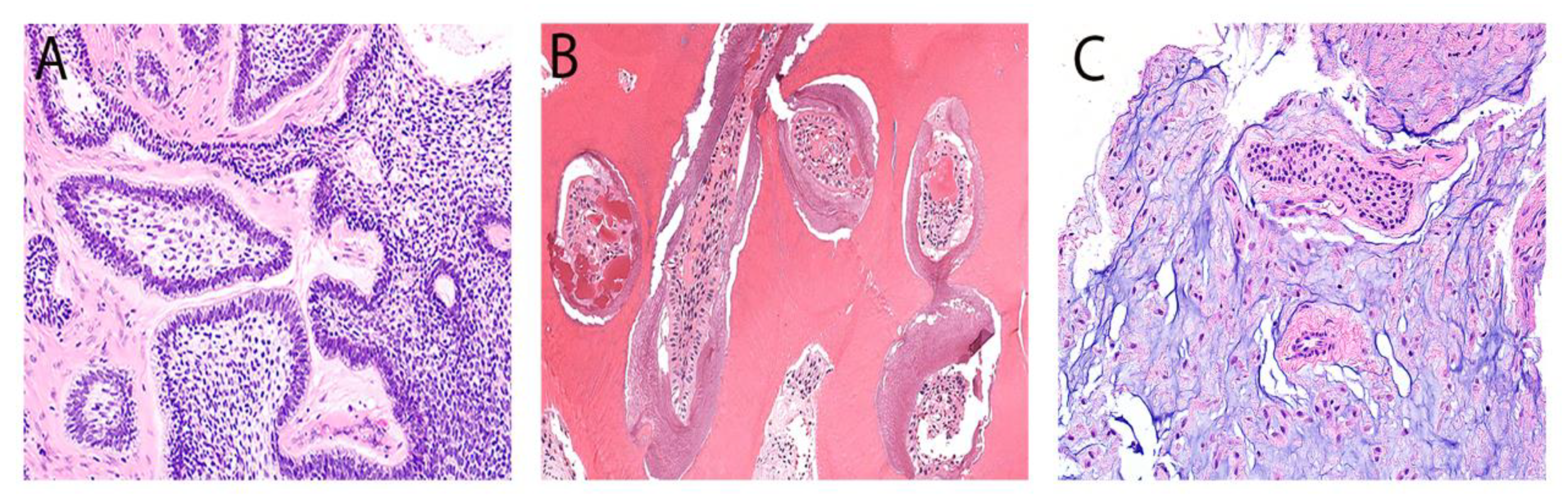 Diagnostics 14 00910 g001