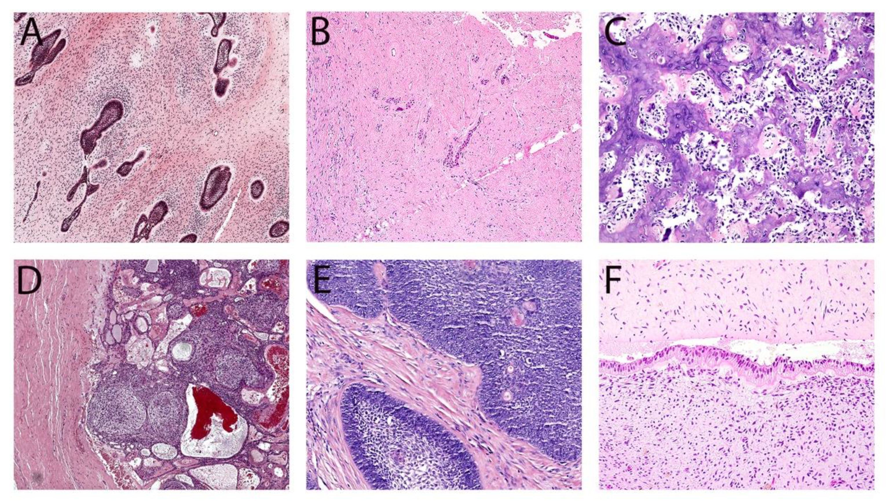 Diagnostics 14 00910 g002