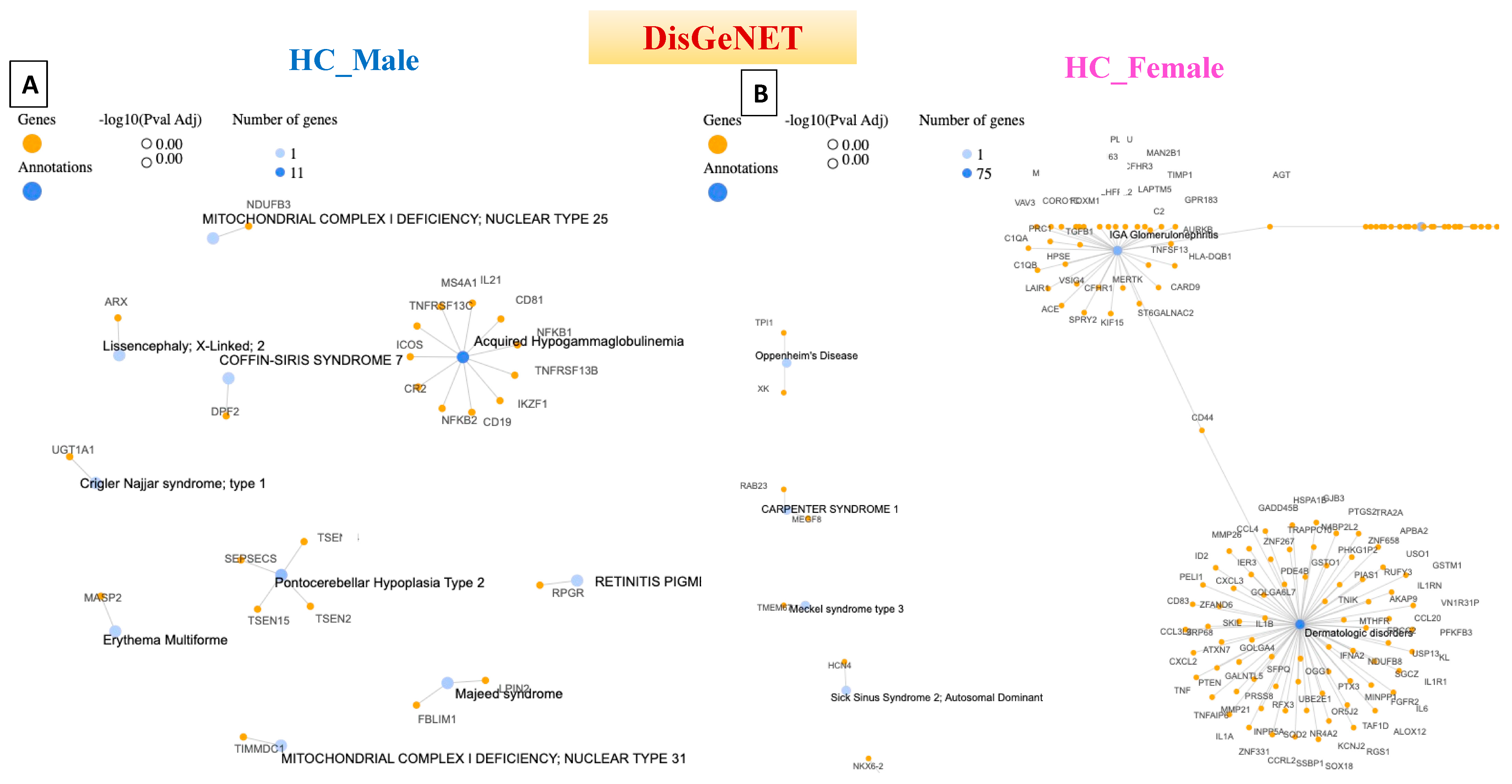 Diagnostics 14 00929 g004a